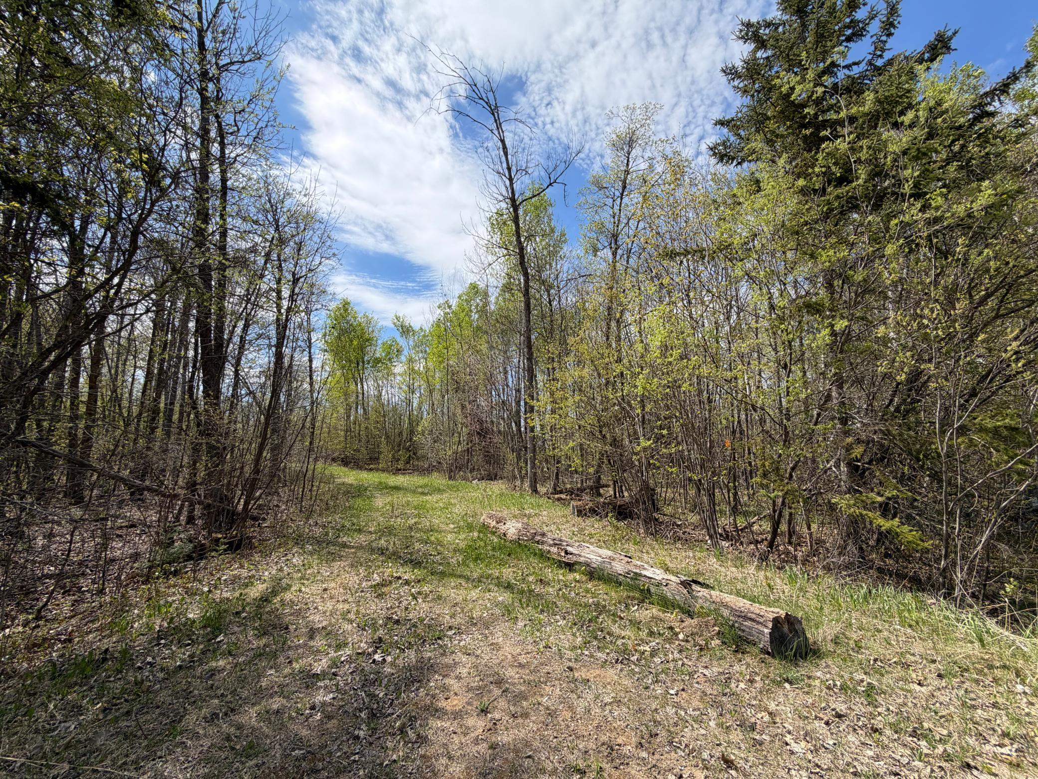 2nd image of 51265 Vagabond Loop, Bemidji, MN 56601 | MLS# 7049818