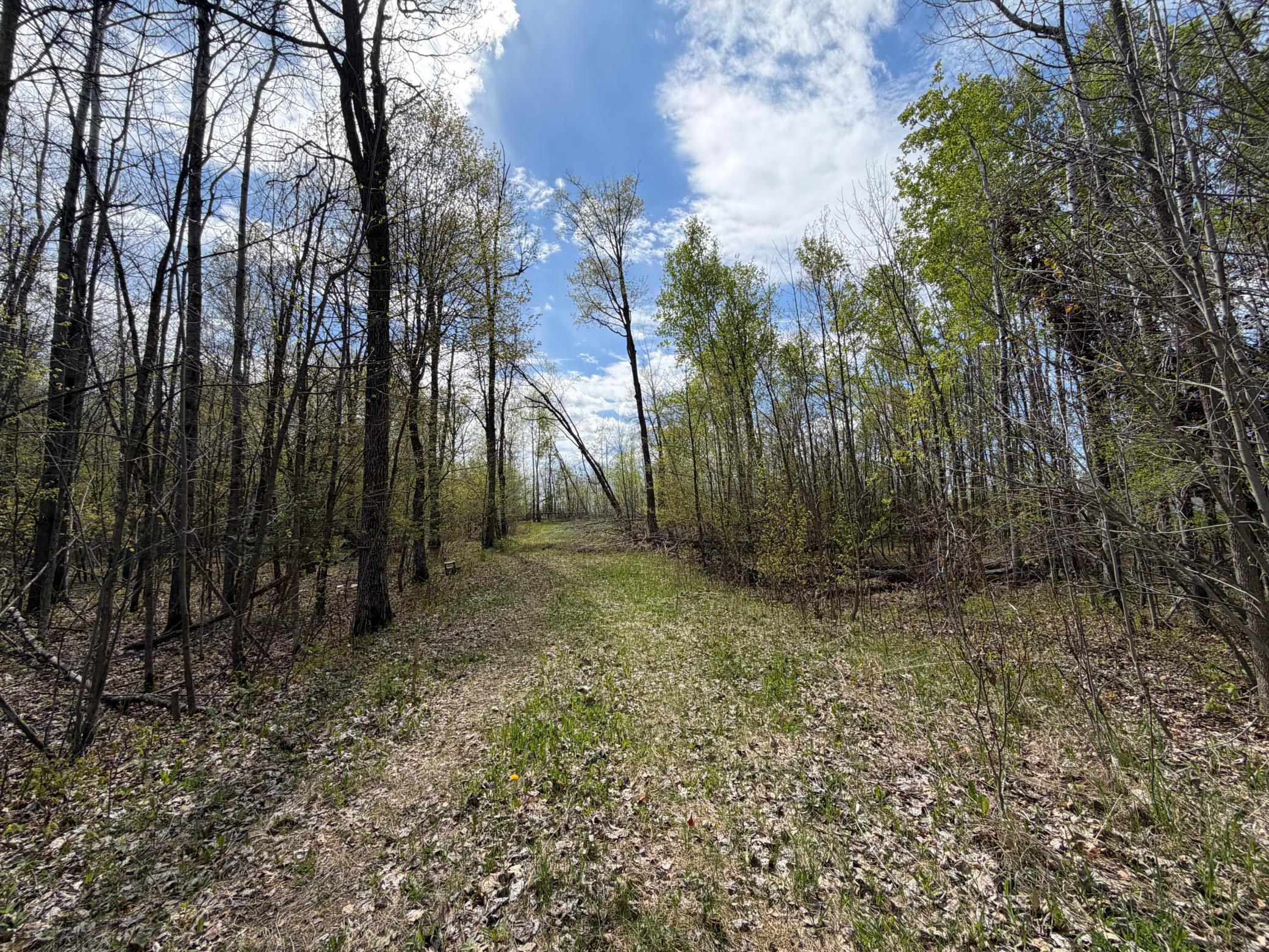 3rd image of 51265 Vagabond Loop, Bemidji, MN 56601 | MLS# 7049818