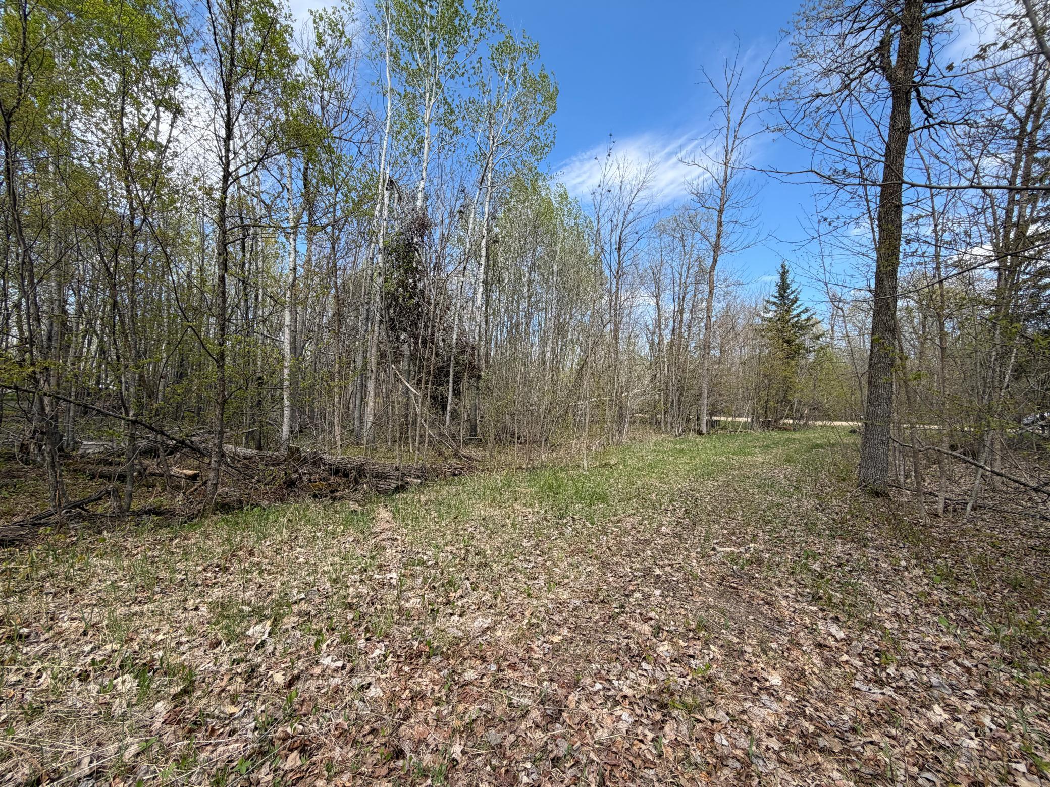 4th image of 51265 Vagabond Loop, Bemidji, MN 56601 | MLS# 7049818