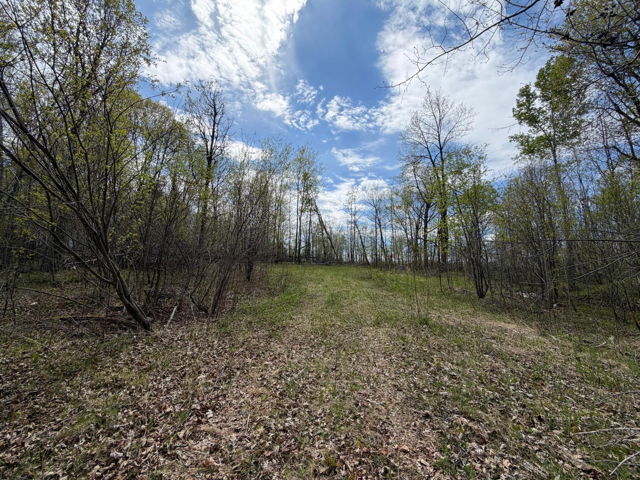 5th image of 51265 Vagabond Loop, Bemidji, MN 56601 | MLS# 7049818