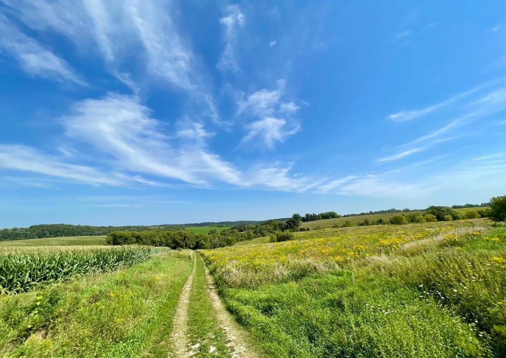 3rd image of Tbd-C County 8, Spring Grove, MN 55954 | MLS# 7051024