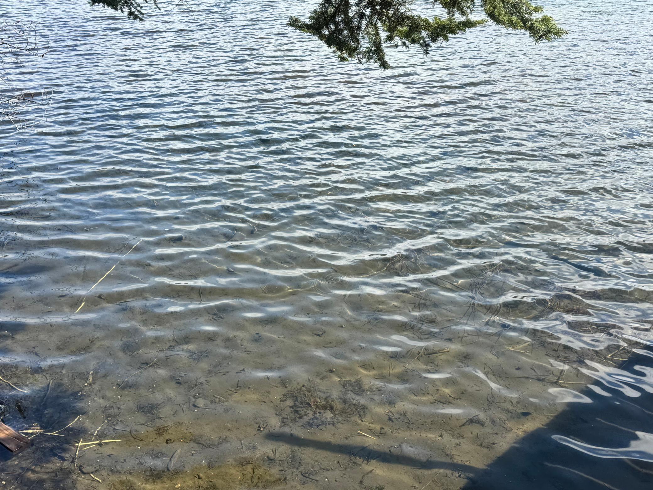 28th image of 20503 Jewel Dr, Park Rapids, MN 56470 | MLS# 7052750