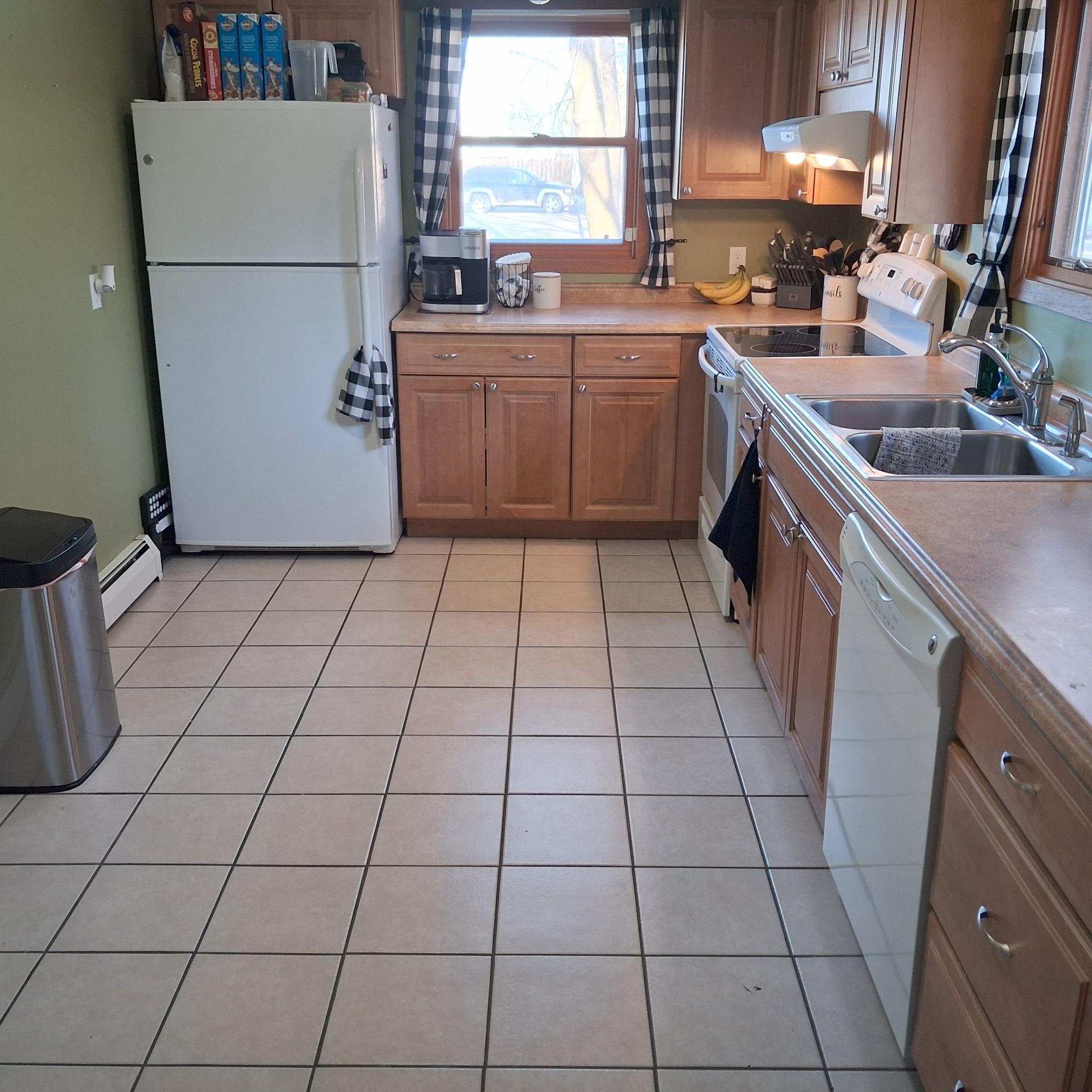 Homes for sale in Roseau, MN | 912 3Rd St Ne, Roseau, MN 56751 | MLS# 7053031
