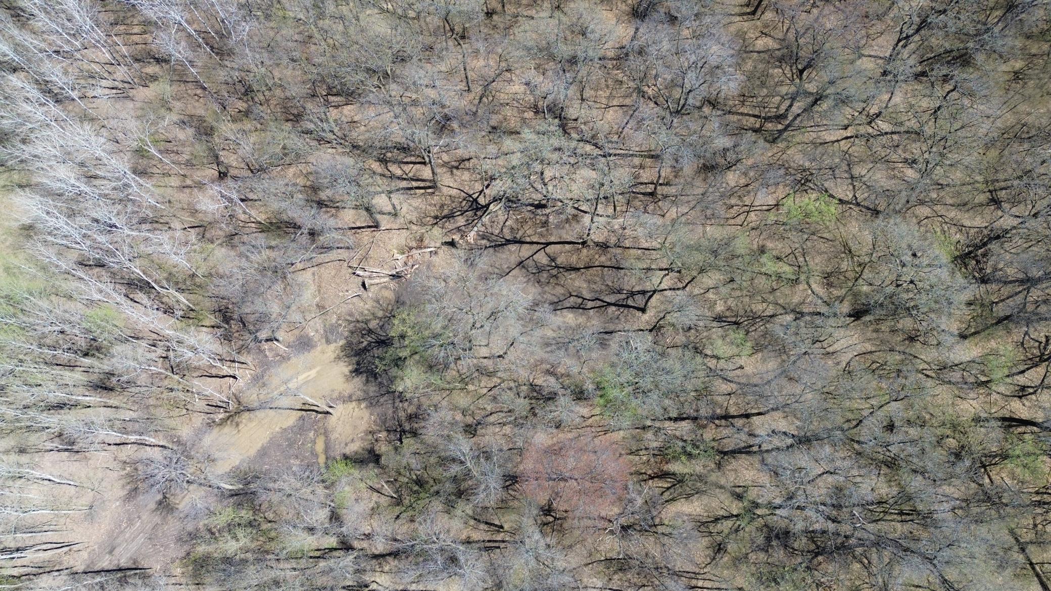Homes for sale in South Haven, MN | 0000 Fourth Avenue E, South Haven, MN 55382 | MLS# 7053187