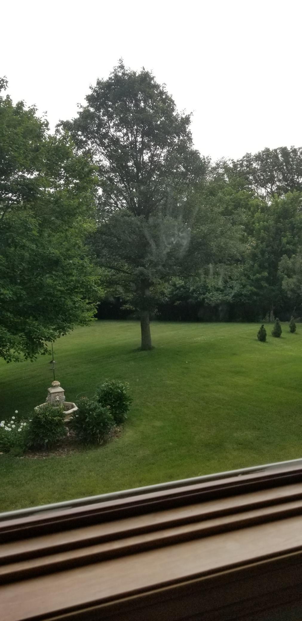 48th image of 3130 Cassidy Dr Ne, Rochester, MN 55906 | MLS# 7054436