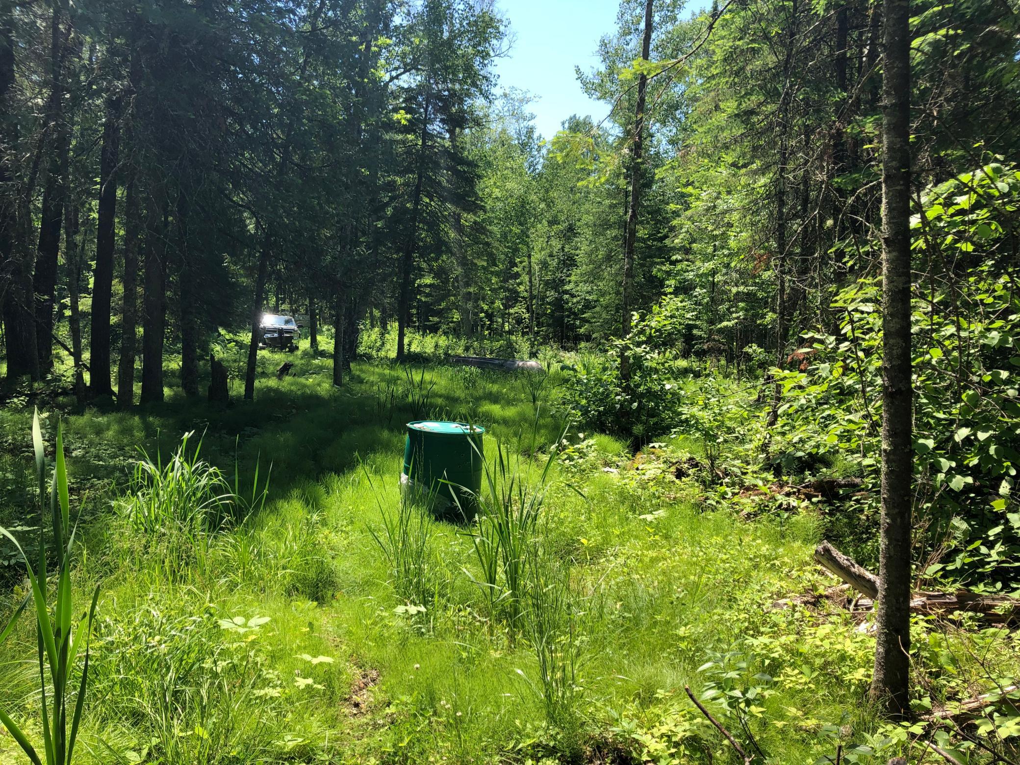 21st image of Tbd Rush Island Lake Road, Deer River, MN 56636 | MLS# 7054754