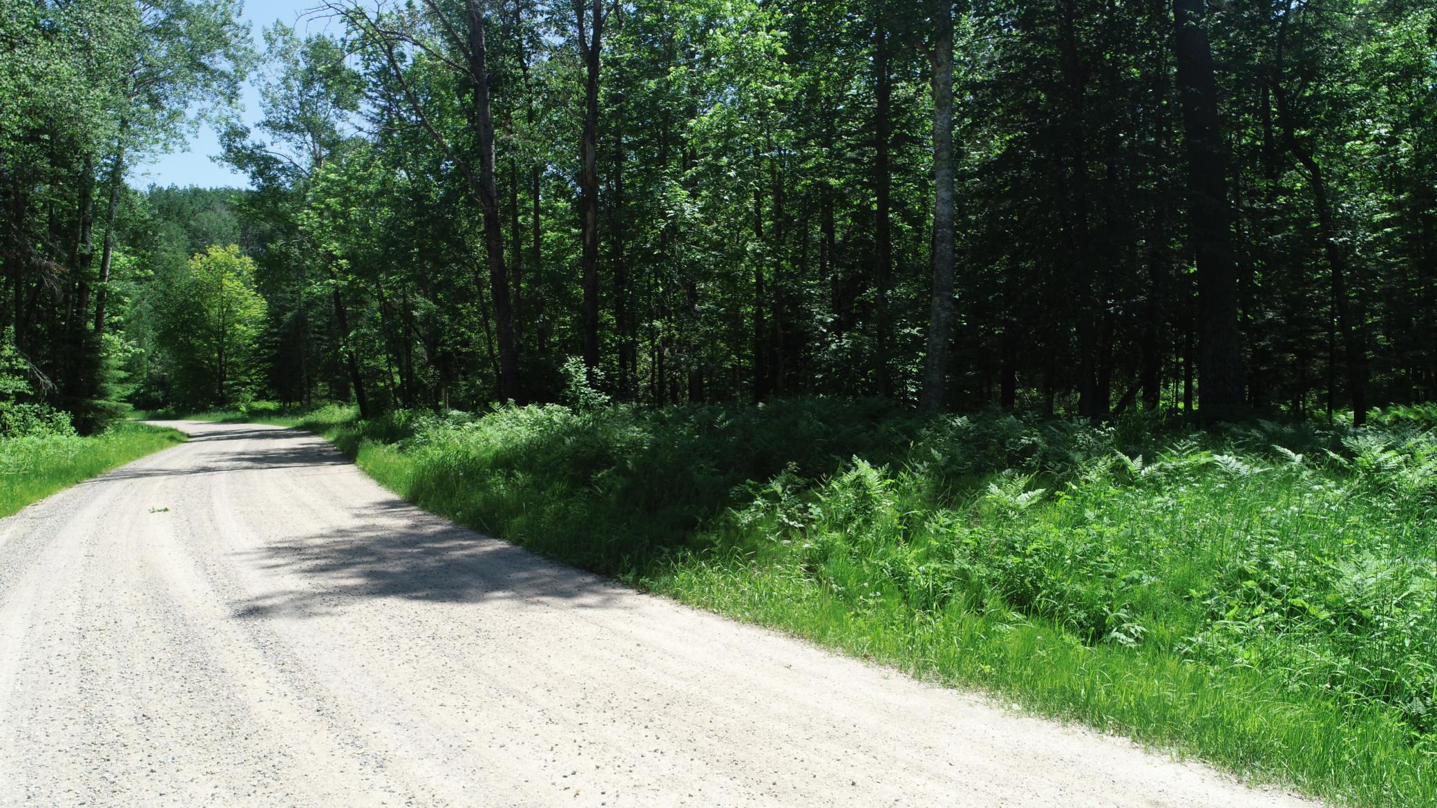3rd image of Tbd Rush Island Lake Road, Deer River, MN 56636 | MLS# 7054754