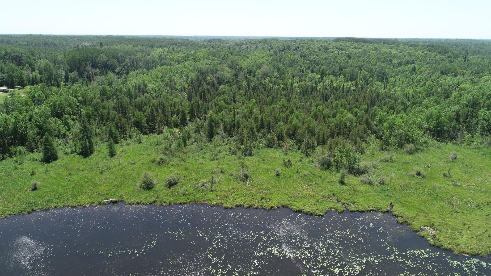 5th image of Tbd Rush Island Lake Road, Deer River, MN 56636 | MLS# 7054754