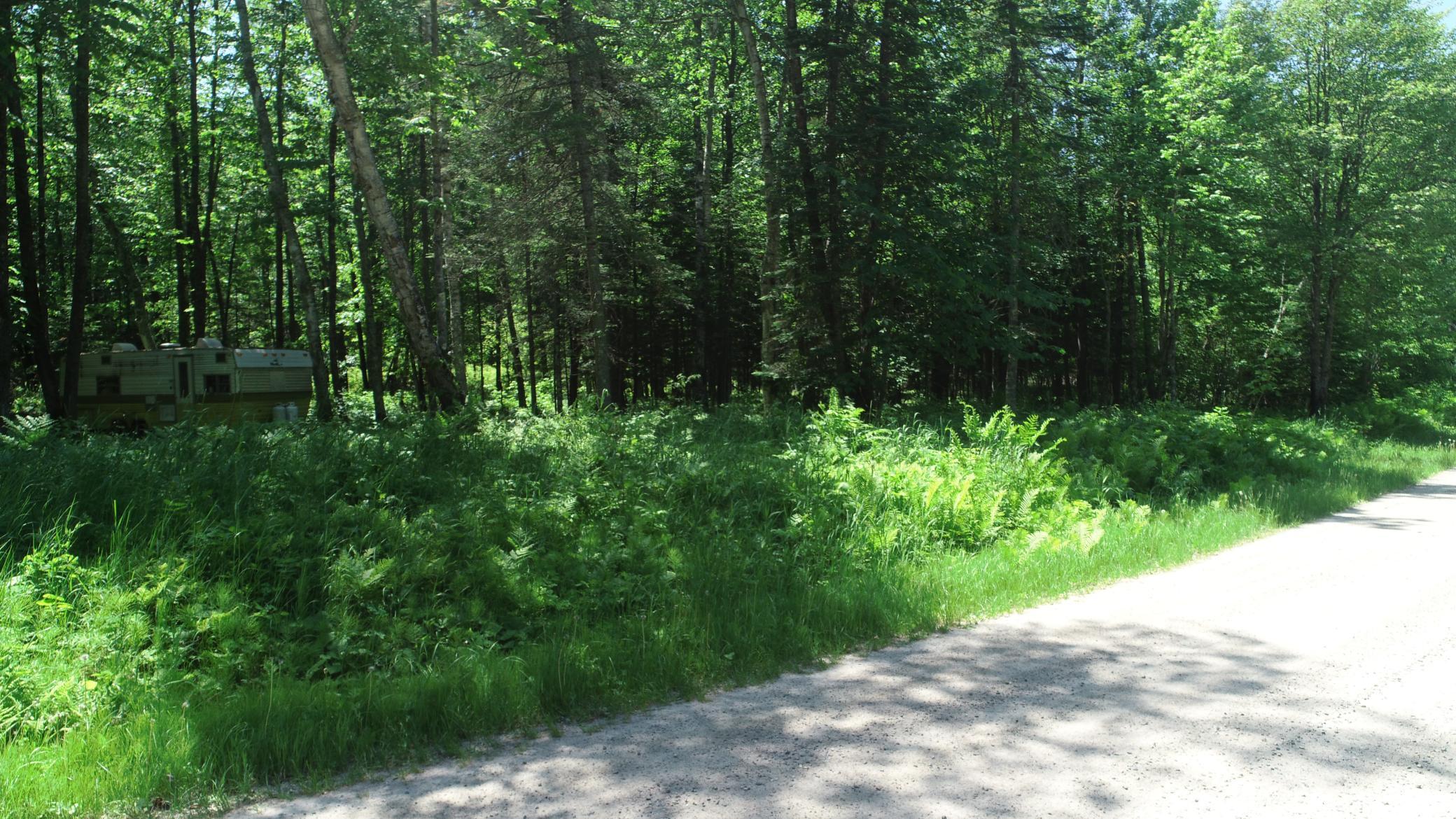 4th image of Tbd Rush Island Lake Road, Deer River, MN 56636 | MLS# 7054754