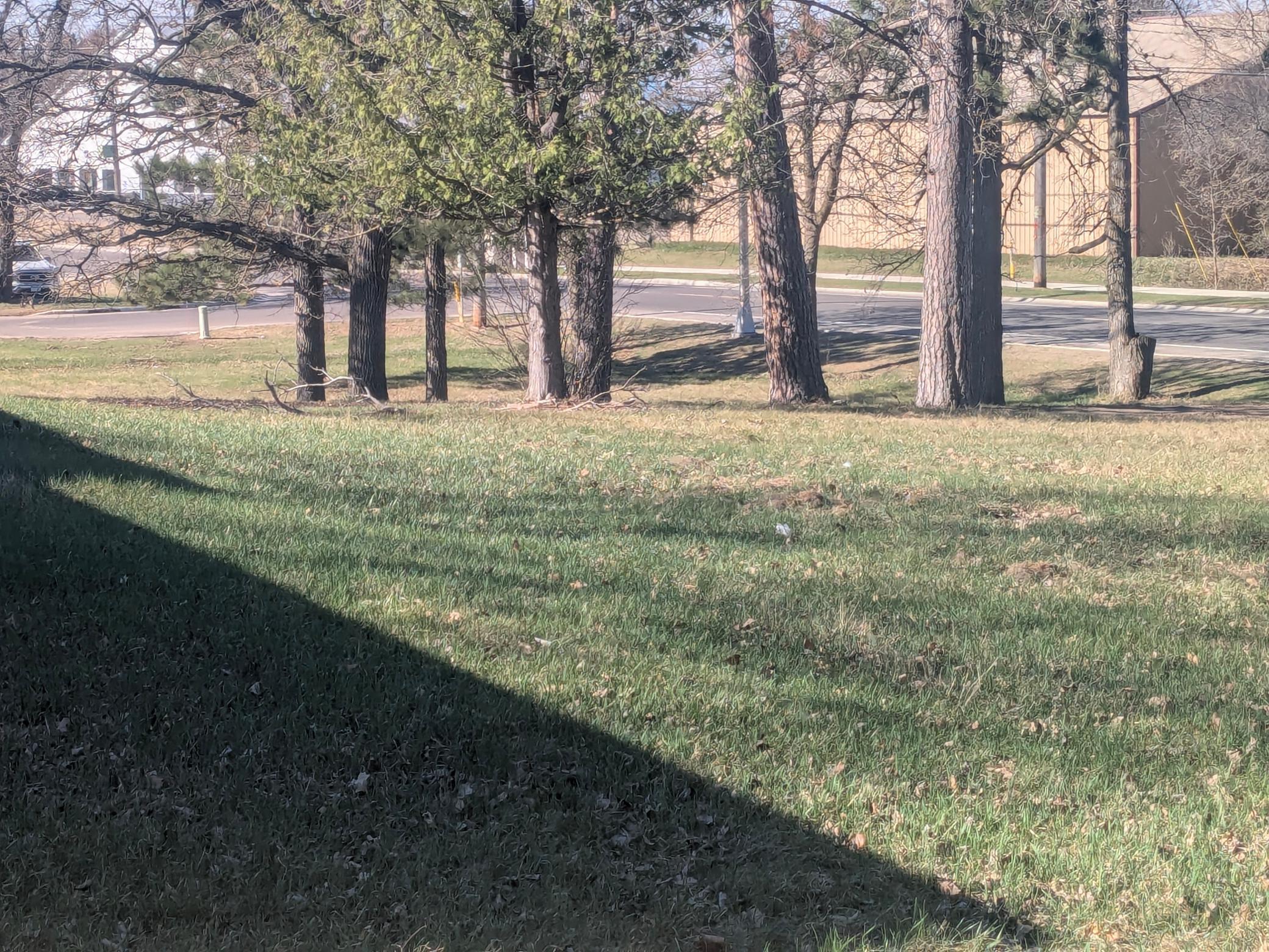5th image of 212 Central Ave N, Park Rapids, MN 56470 | MLS# 7054899