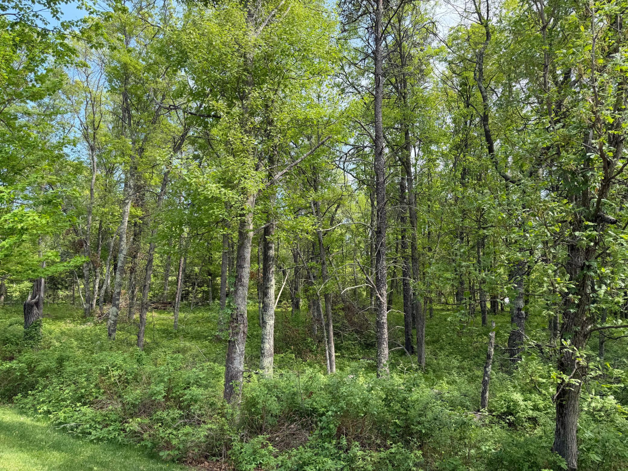 2nd image of 0 Sugarloaf Rd, Crosslake, MN 56442 | MLS# 7057882