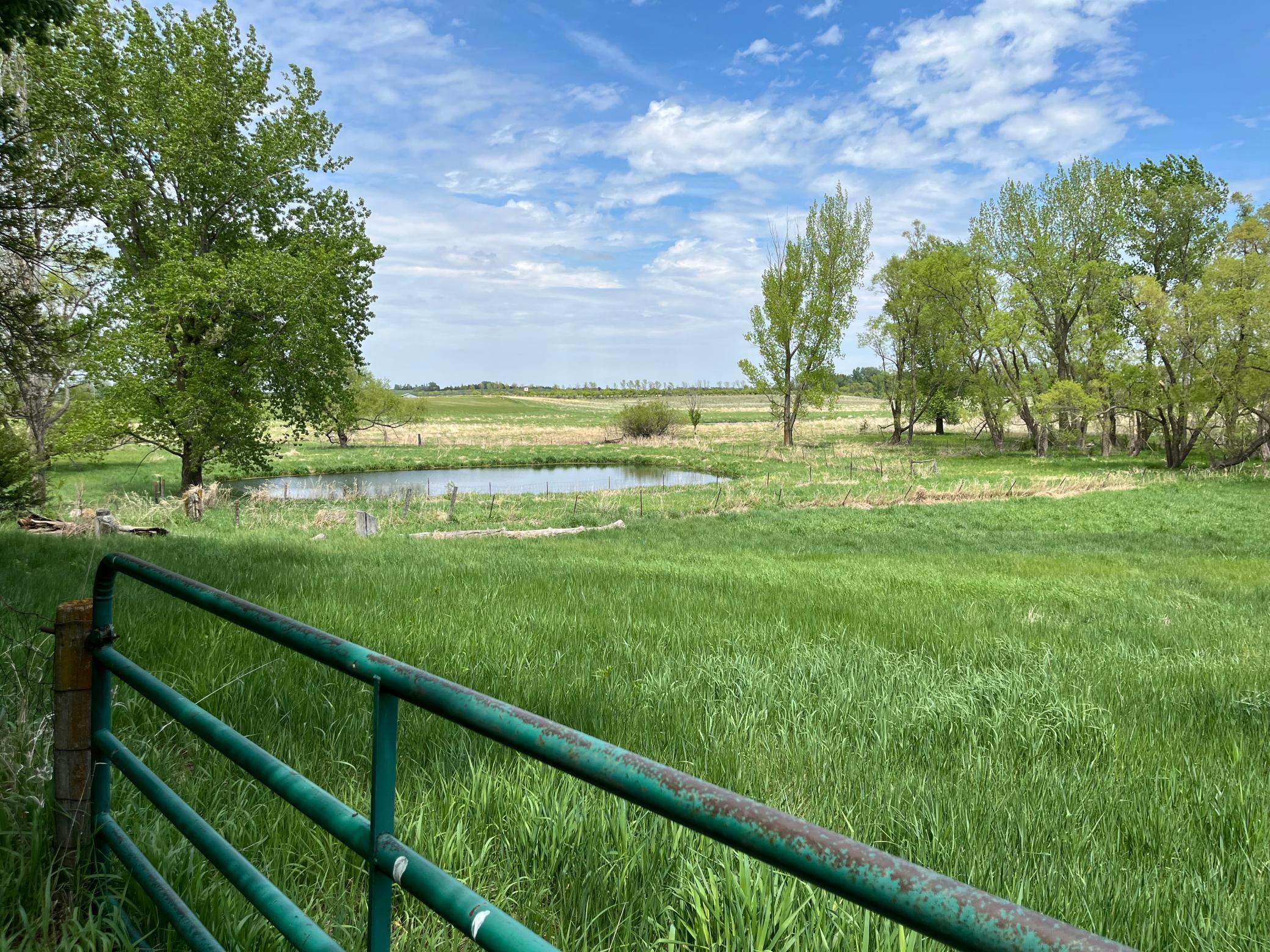 Homes for sale in Windom, MN | 93306 Us Hwy 71, Windom, MN 56101 | MLS# 7058113