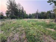 Homes for sale in Tamarack, MN | 1102 W County Line Rd, Tamarack, MN 55787 | MLS# 7061293