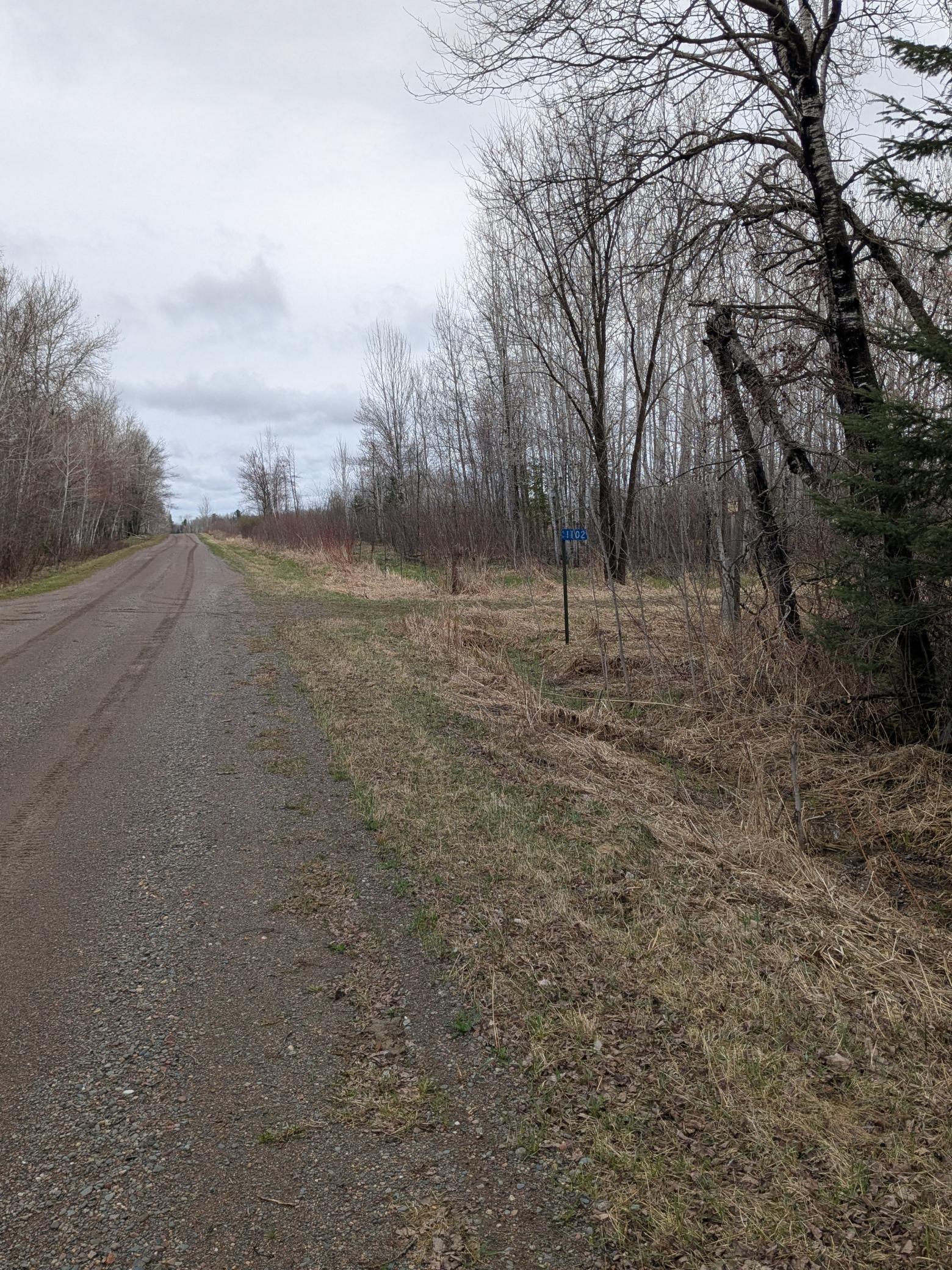 Homes for sale in Tamarack, MN | 1102 W County Line Rd, Tamarack, MN 55787 | MLS# 7061293