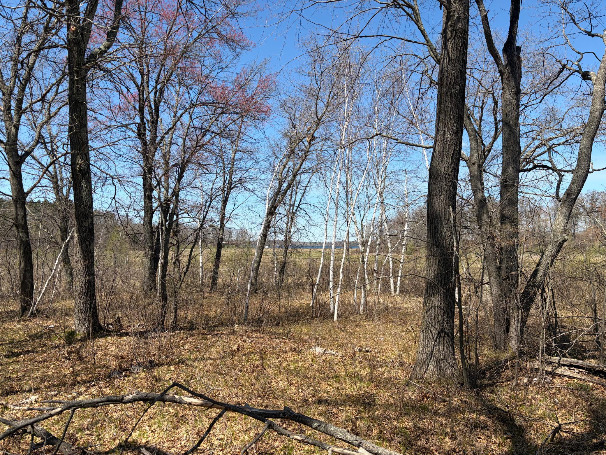 4th image of Xxx Mann Road, Spooner, WI 54801 | MLS# 7061690