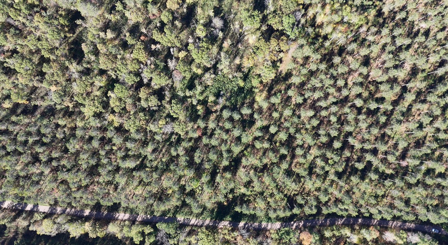 5th image of Xxx Mann Road, Spooner, WI 54801 | MLS# 7061690