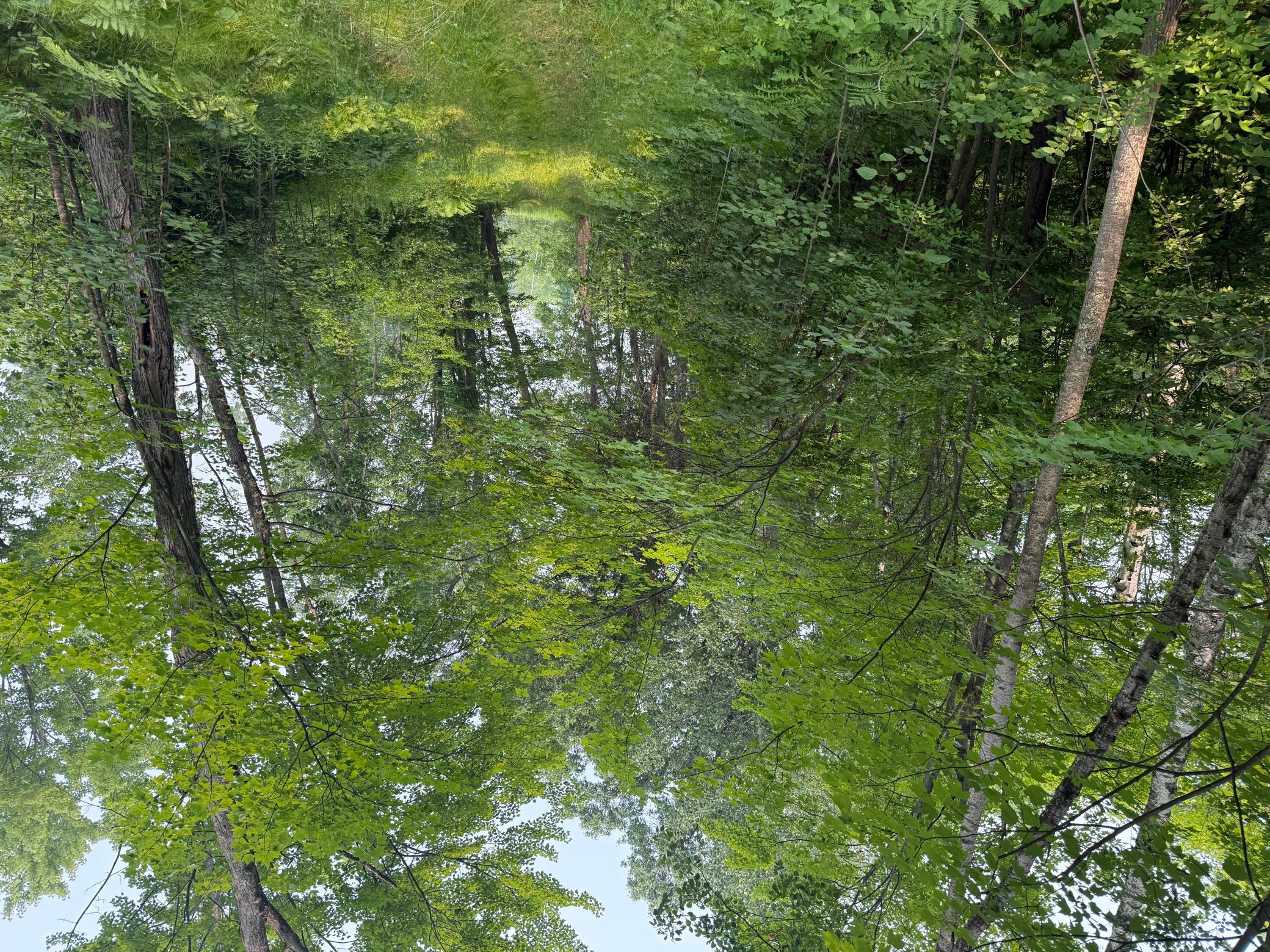 20th image of Xxx Mann Road, Spooner, WI 54801 | MLS# 7061690