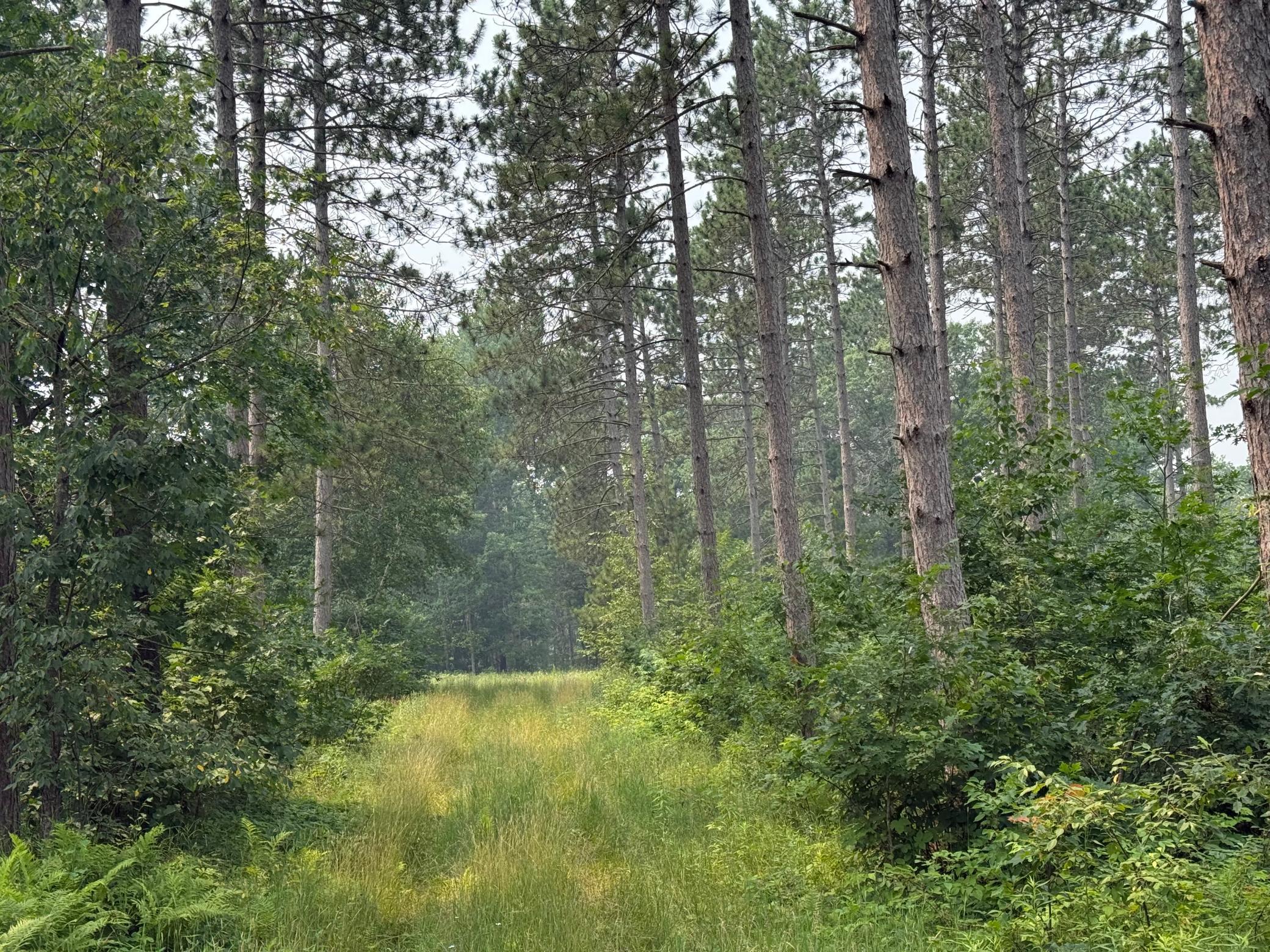 1st image of Xxx Mann Road, Spooner, WI 54801 | MLS# 7061690