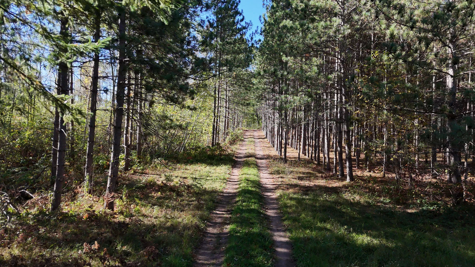 2nd image of Xxx Mann Road, Spooner, WI 54801 | MLS# 7061690