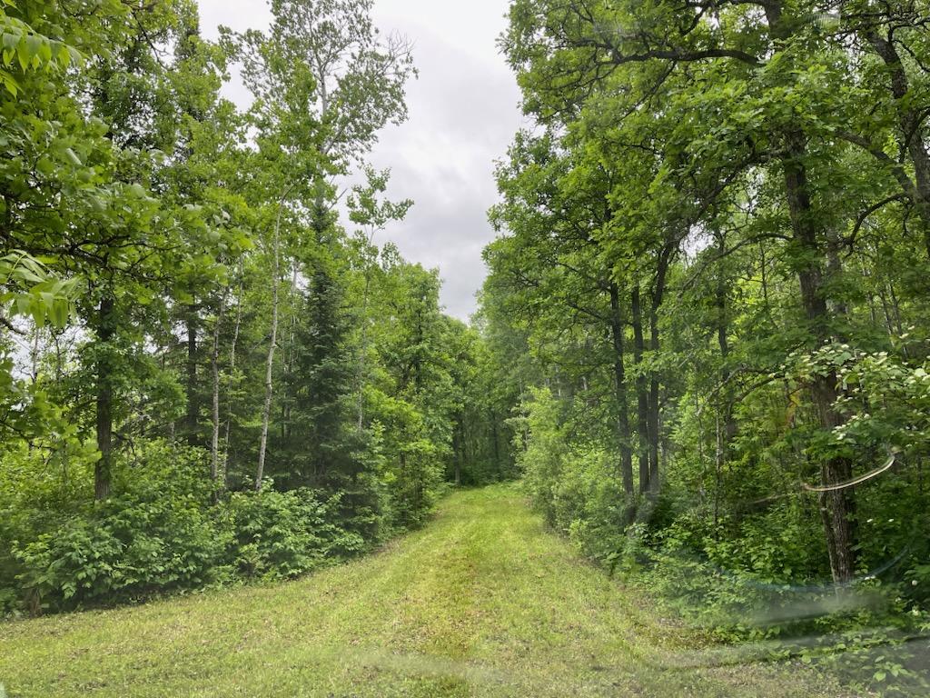 Homes for sale in Orr, MN | Tbd Cemetery Road, Orr, MN 55771 | MLS# 7062327