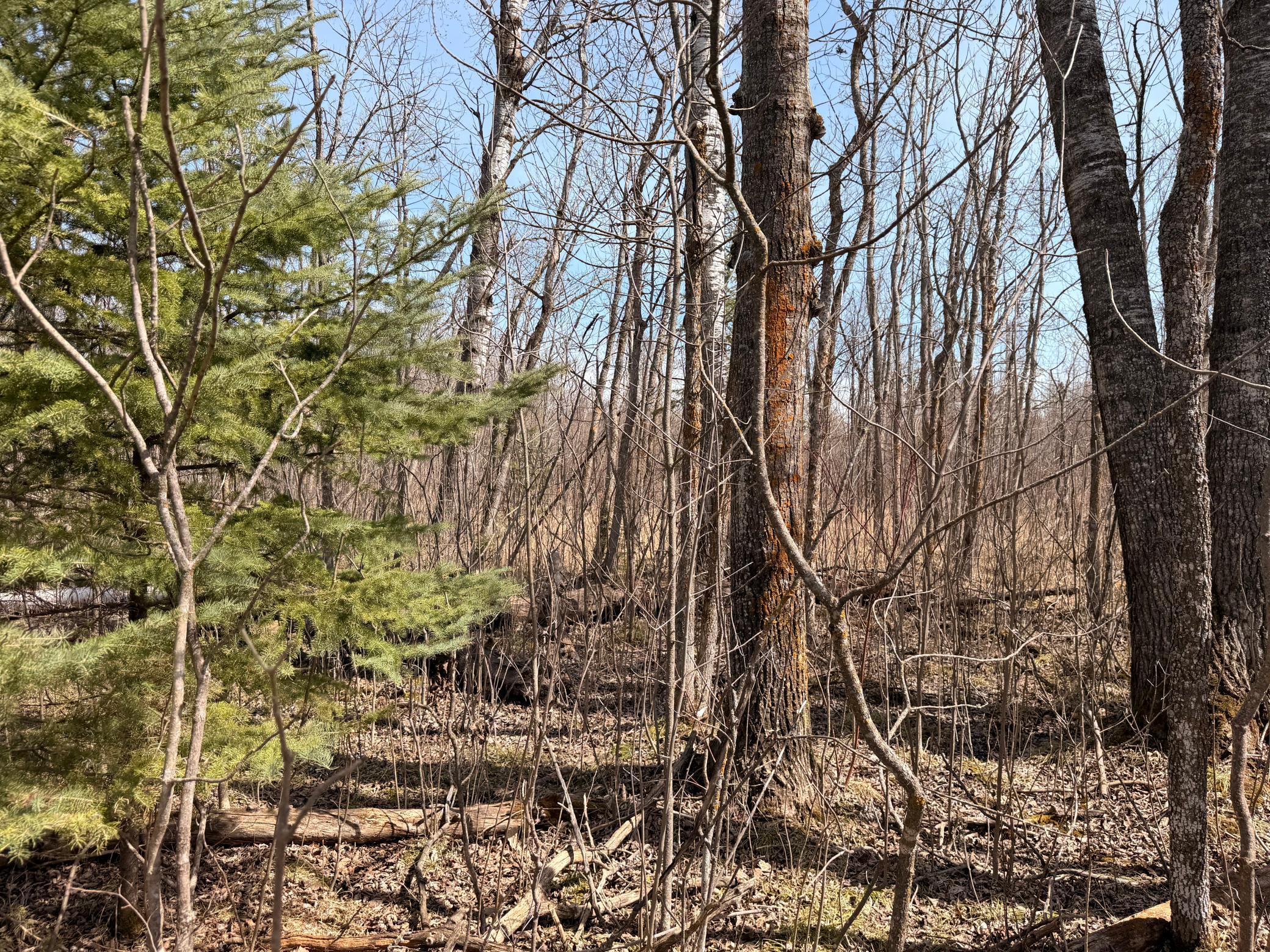 3rd image of _ _, Steenerson Twp, MN 56727 | MLS# 7064368