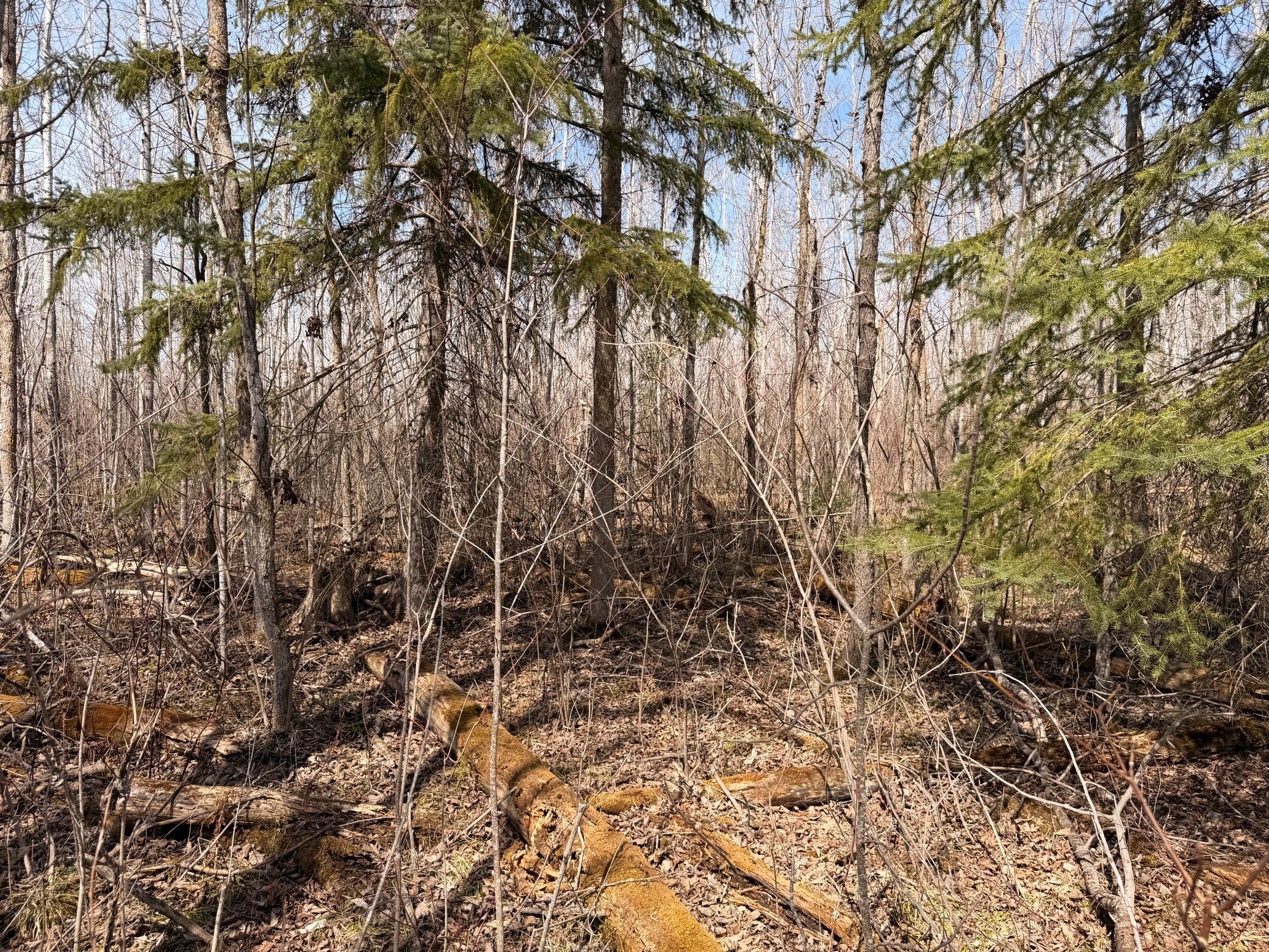 5th image of _ _, Steenerson Twp, MN 56727 | MLS# 7064368