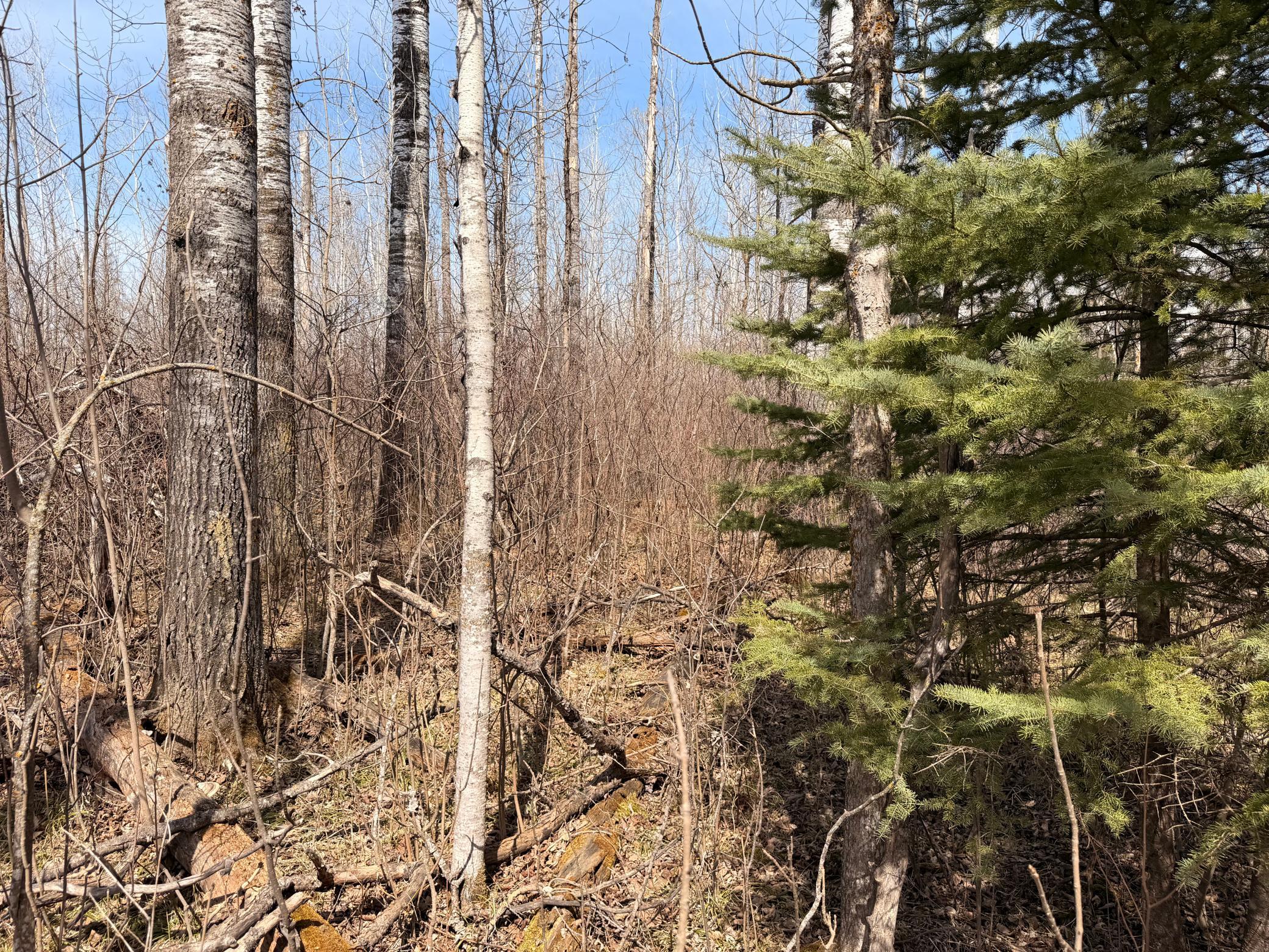 4th image of _ _, Steenerson Twp, MN 56727 | MLS# 7064368