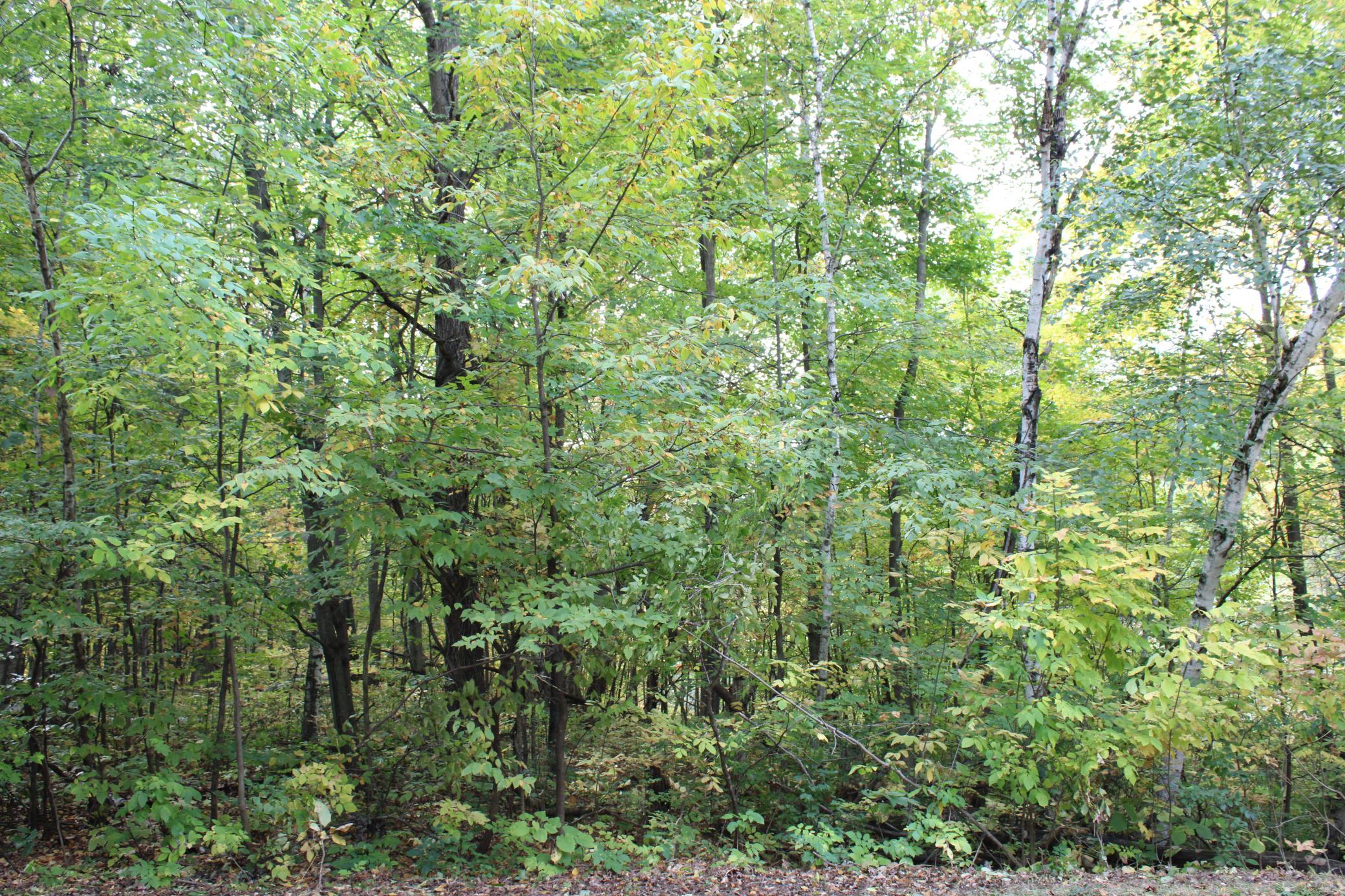 2nd image of 000 St Croix Trail, Taylors Falls, MN 55084 | MLS# 7064744