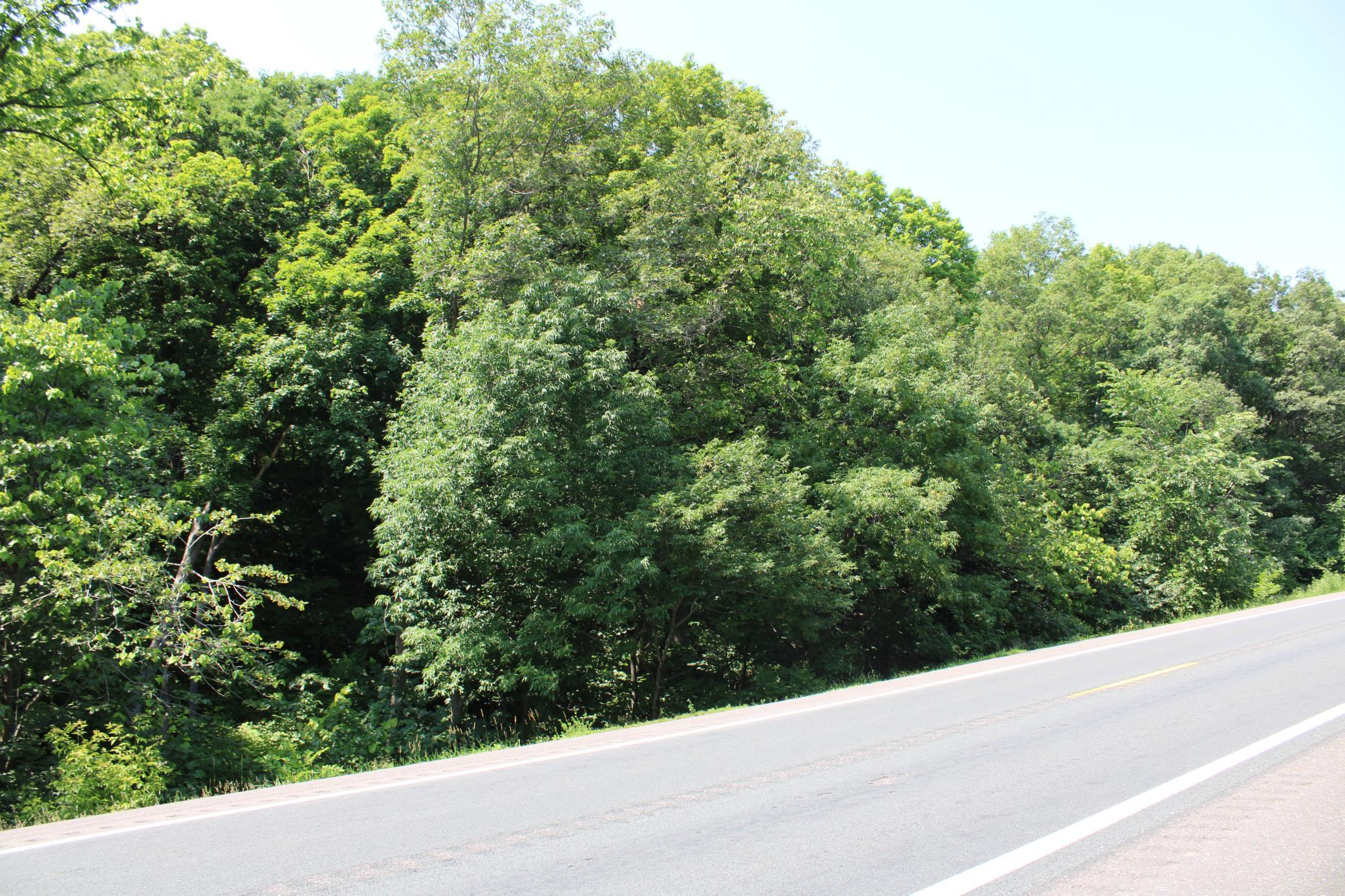4th image of 000 St Croix Trail, Taylors Falls, MN 55084 | MLS# 7064744