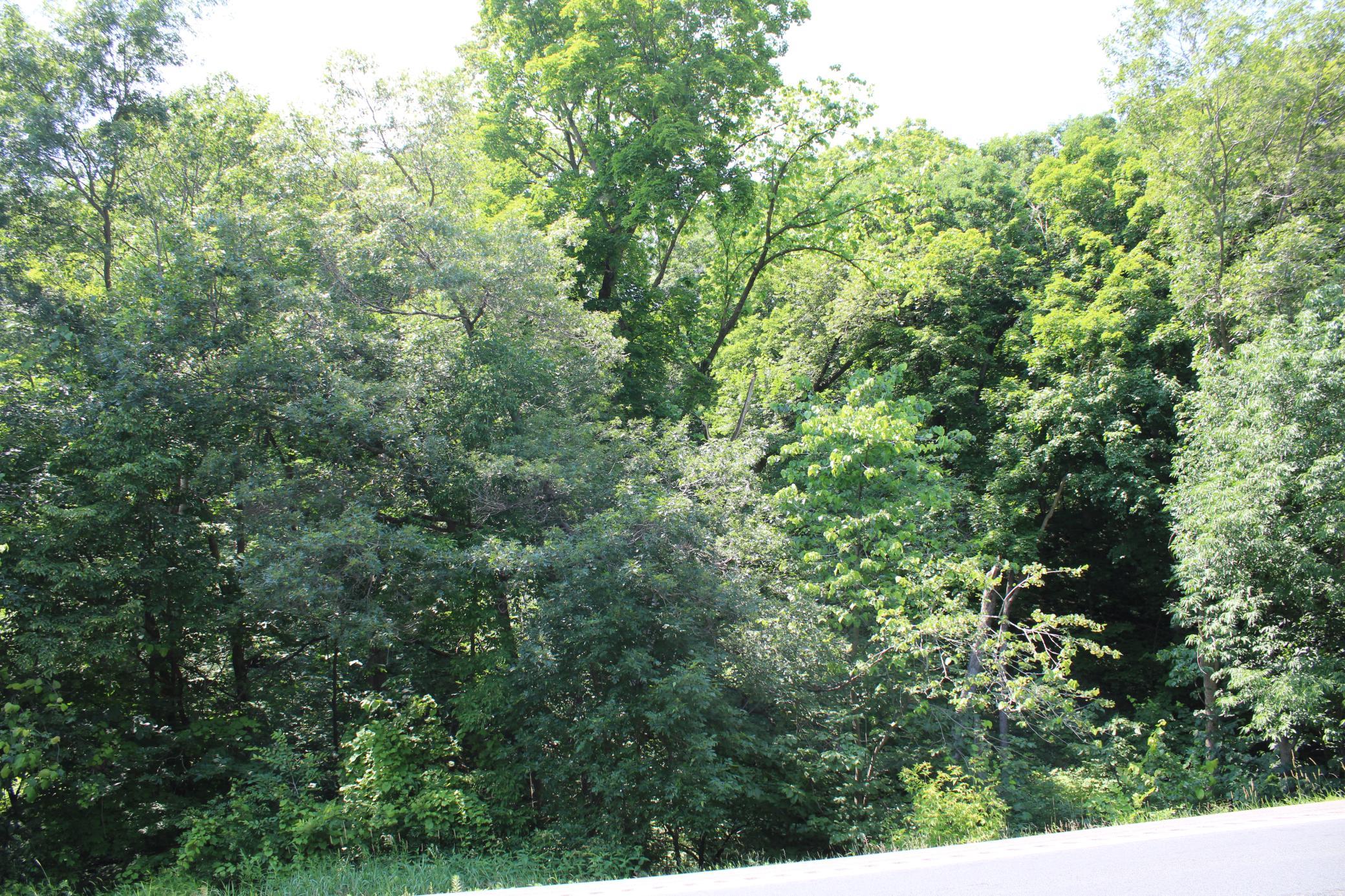 1st image of 000 St Croix Trail, Taylors Falls, MN 55084 | MLS# 7064744