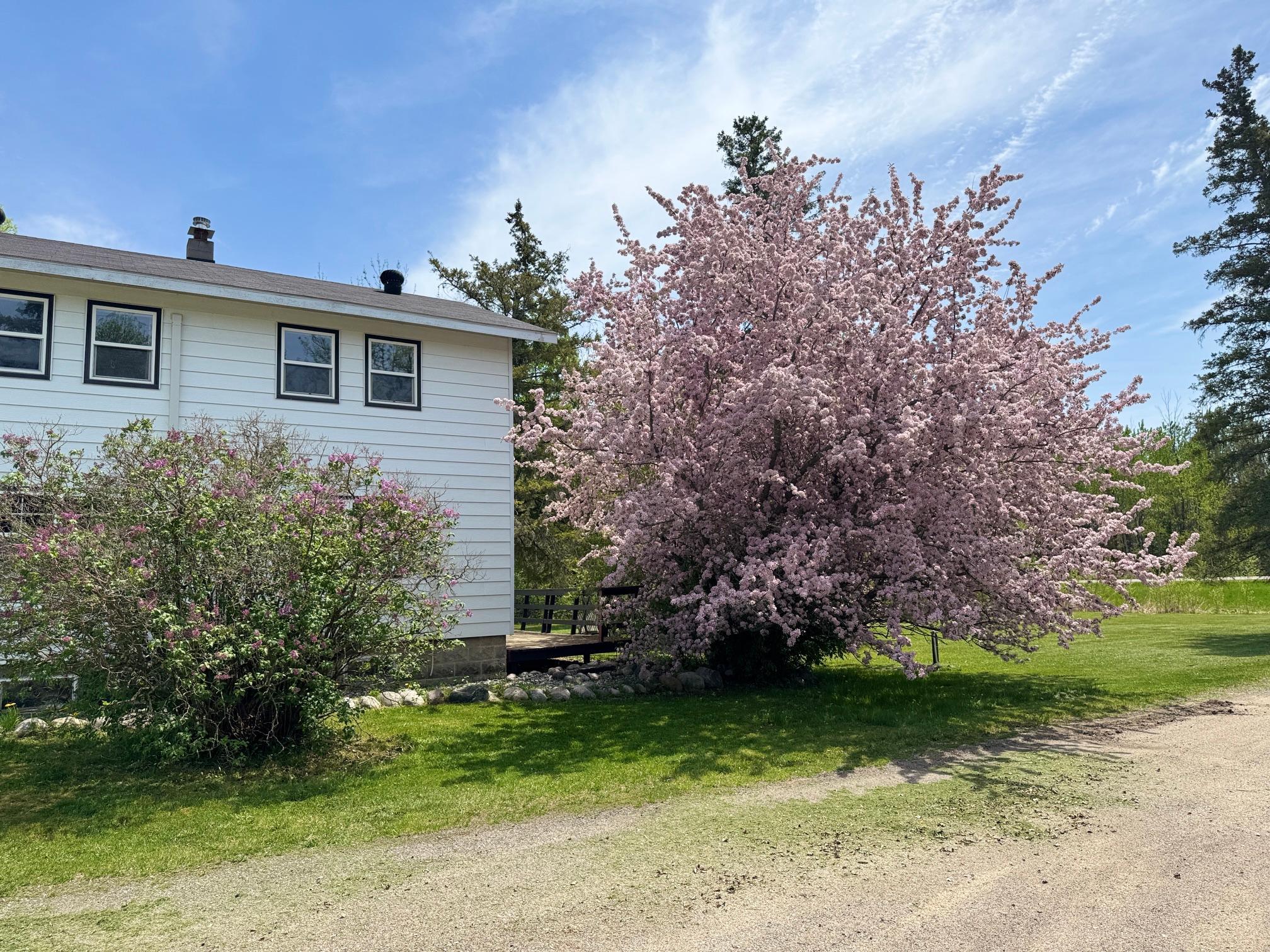 3rd image of 43542 County Road 19, Deer River, MN 56636 | MLS# 7064856