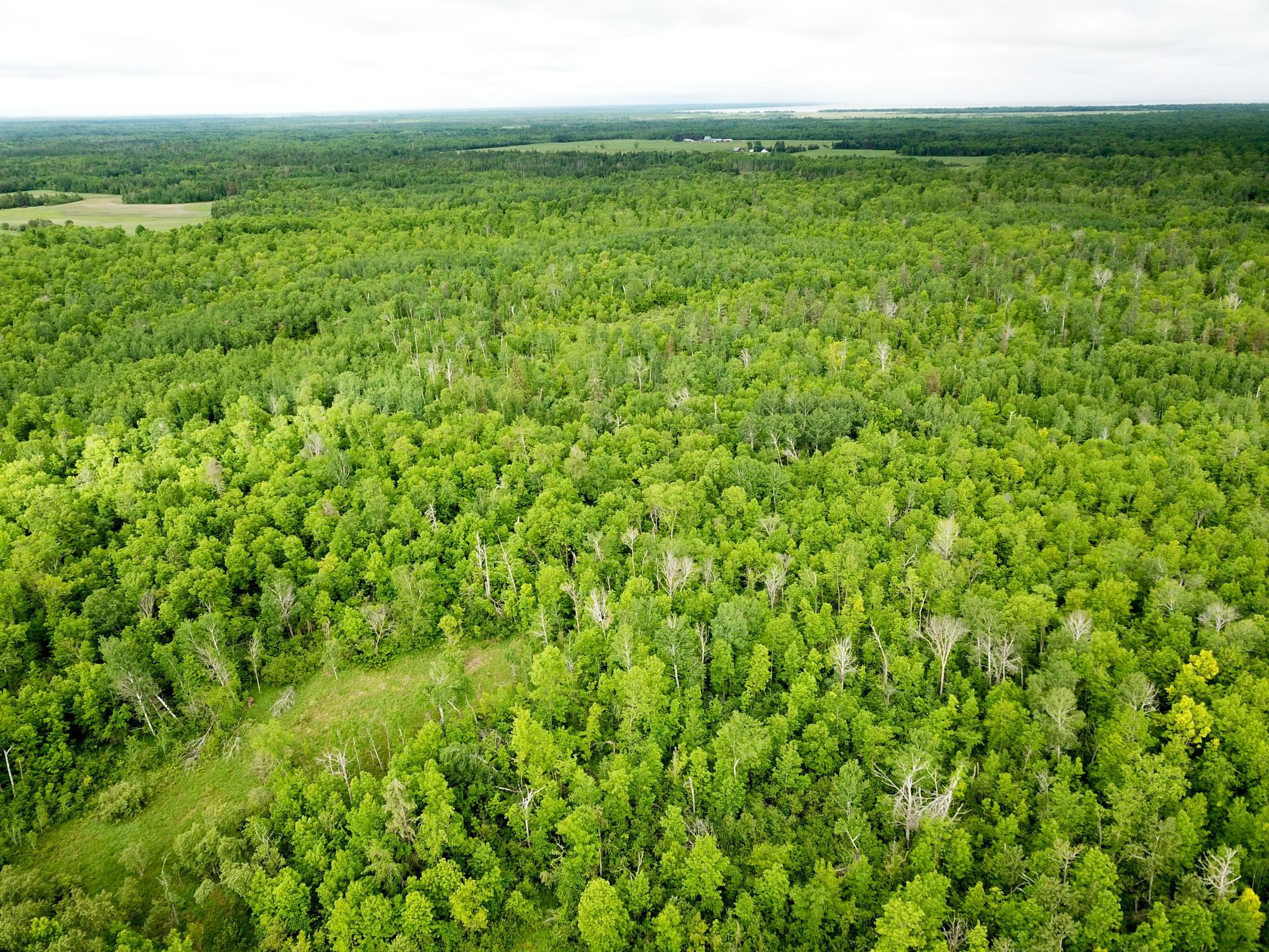 2nd image of Tbd Cormorant Rd Ne, Kelliher, MN 56650 | MLS# 7064927