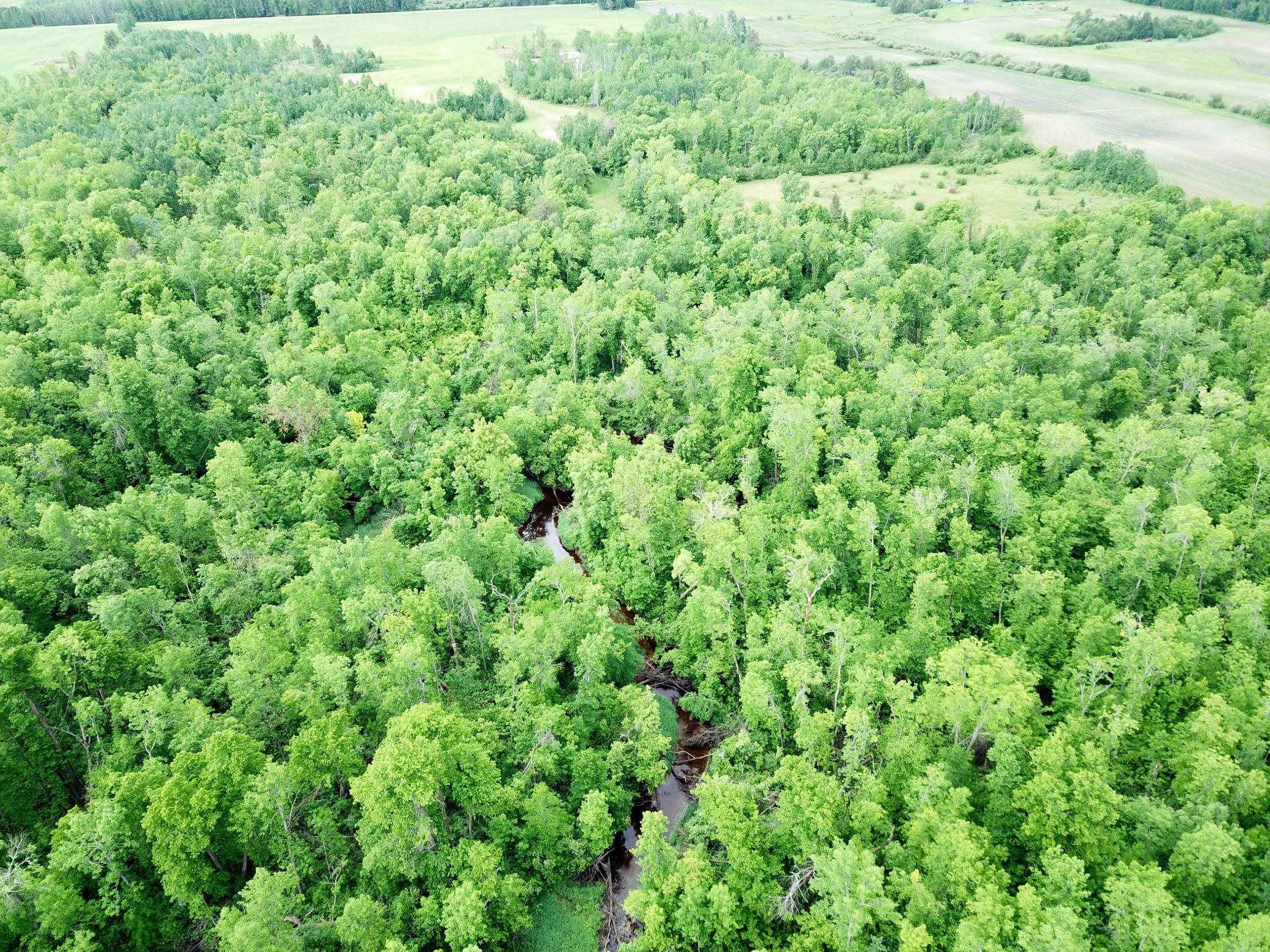 3rd image of Tbd Cormorant Rd Ne, Kelliher, MN 56650 | MLS# 7064927