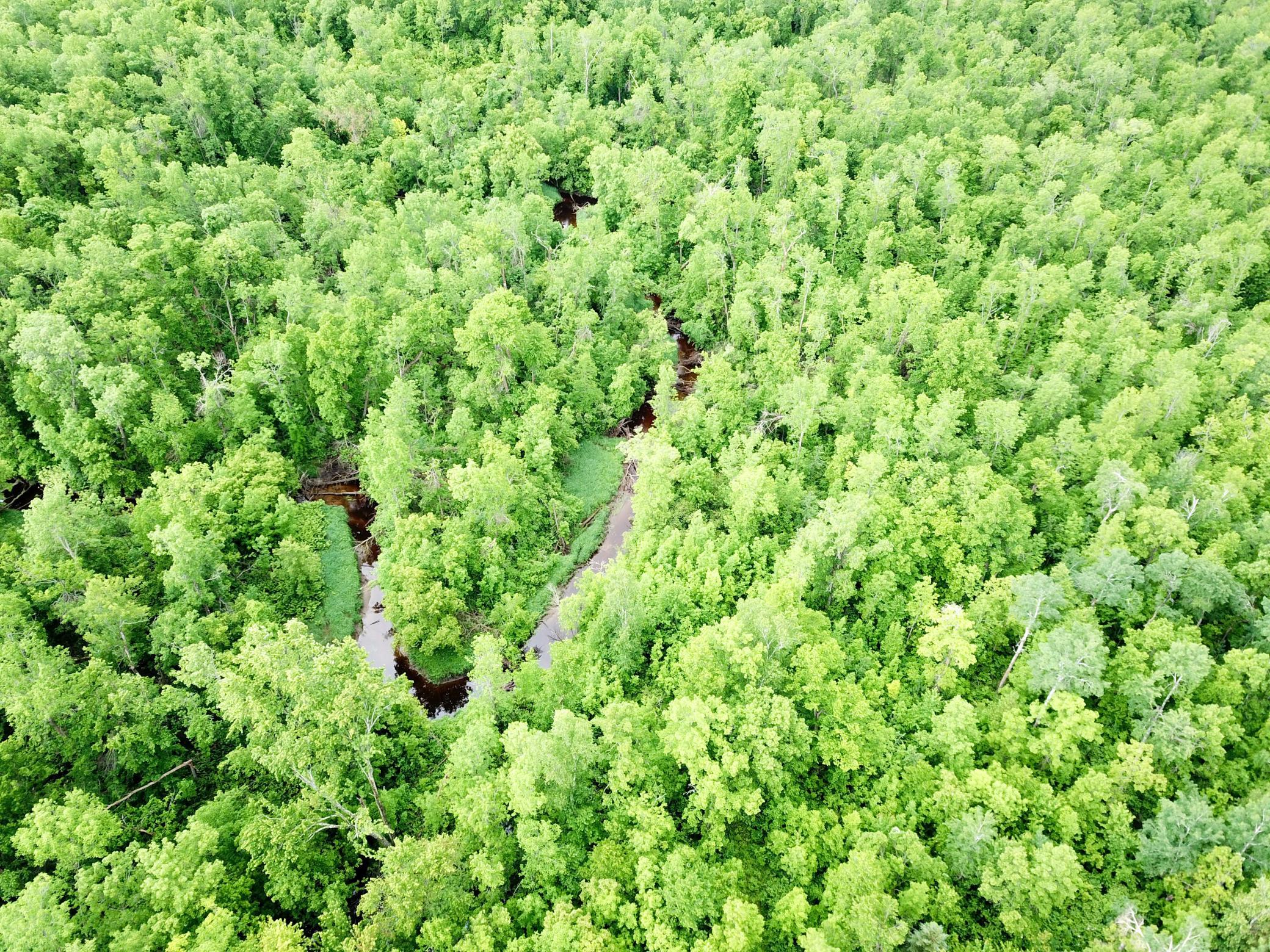 4th image of Tbd Cormorant Rd Ne, Kelliher, MN 56650 | MLS# 7064927