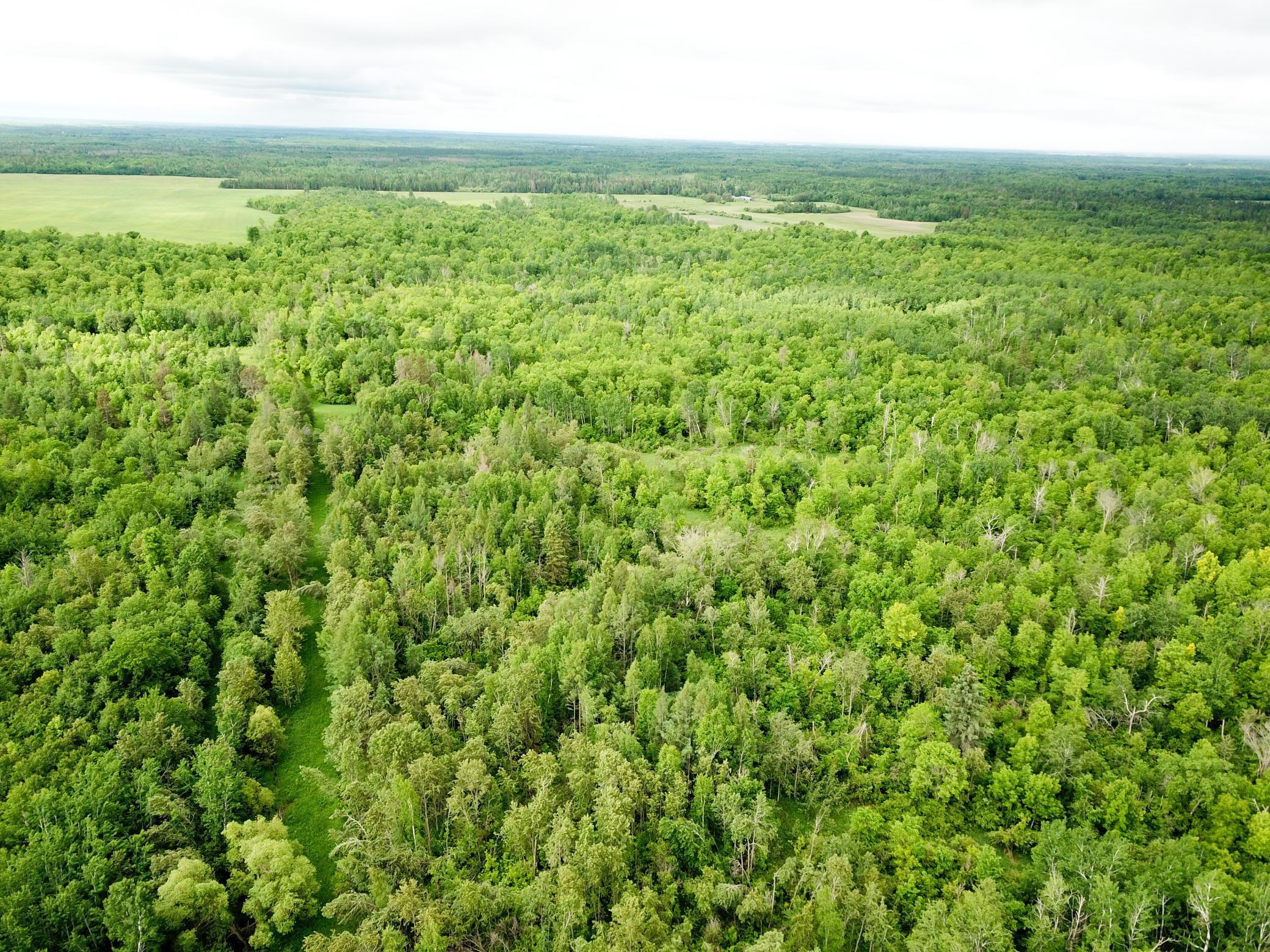 1st image of Tbd Cormorant Rd Ne, Kelliher, MN 56650 | MLS# 7064927