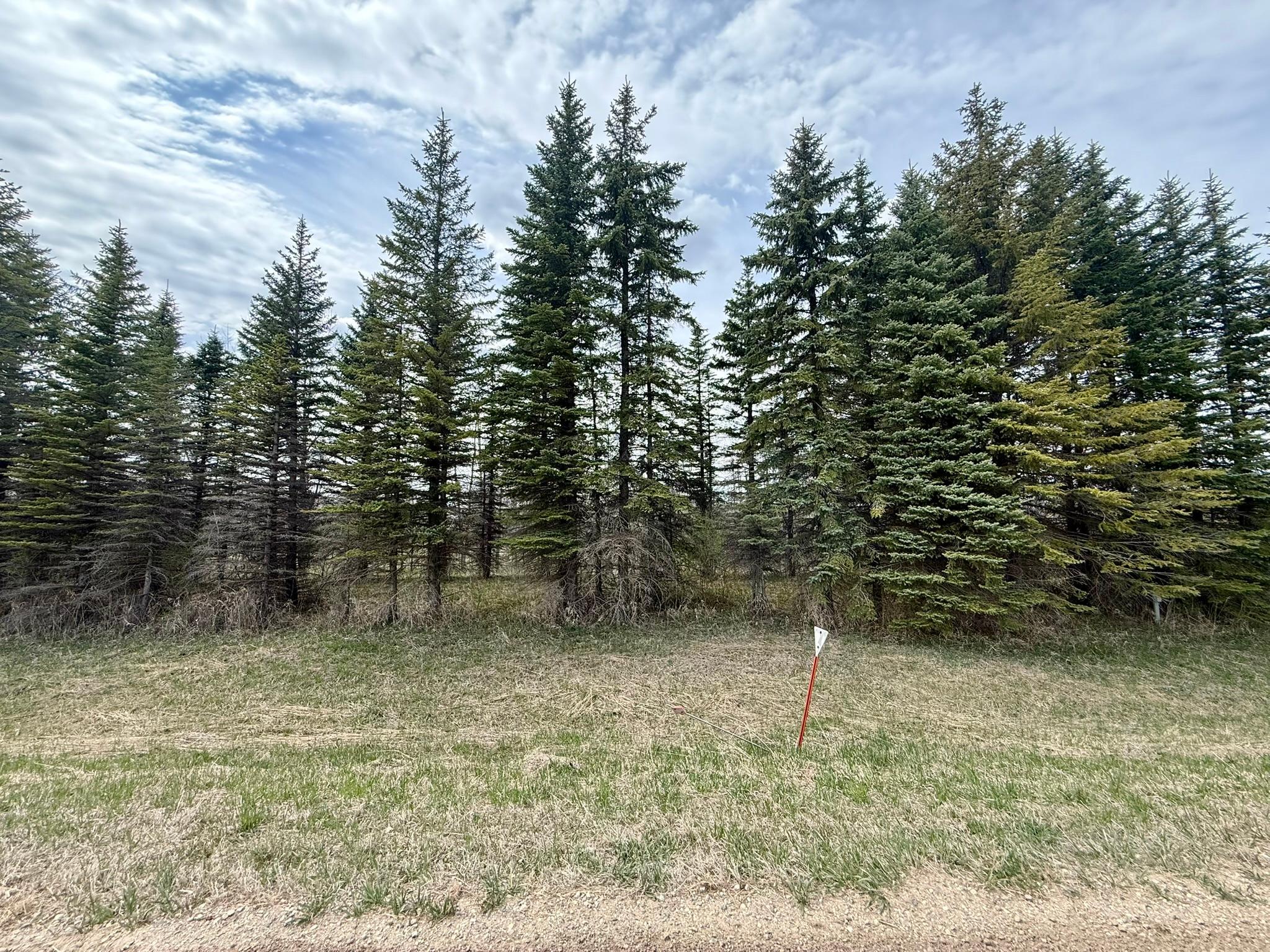 Homes for sale in Glenwood, MN | Xxx 245th Ave, Glenwood, MN 56334 | MLS# 7065700