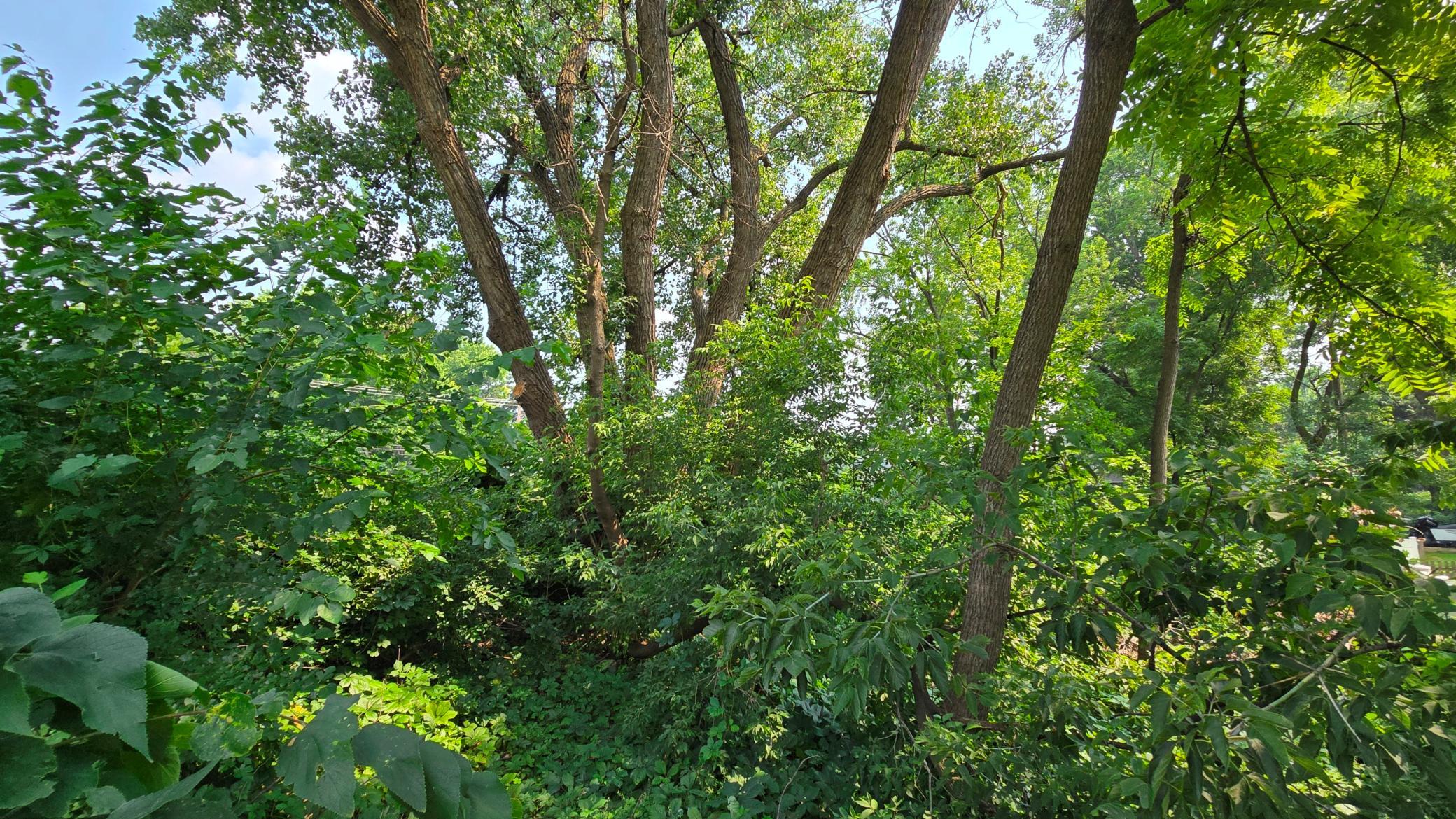 5th image of 3949 Douglas Dr N, Crystal, MN 55422 | MLS# 7067719