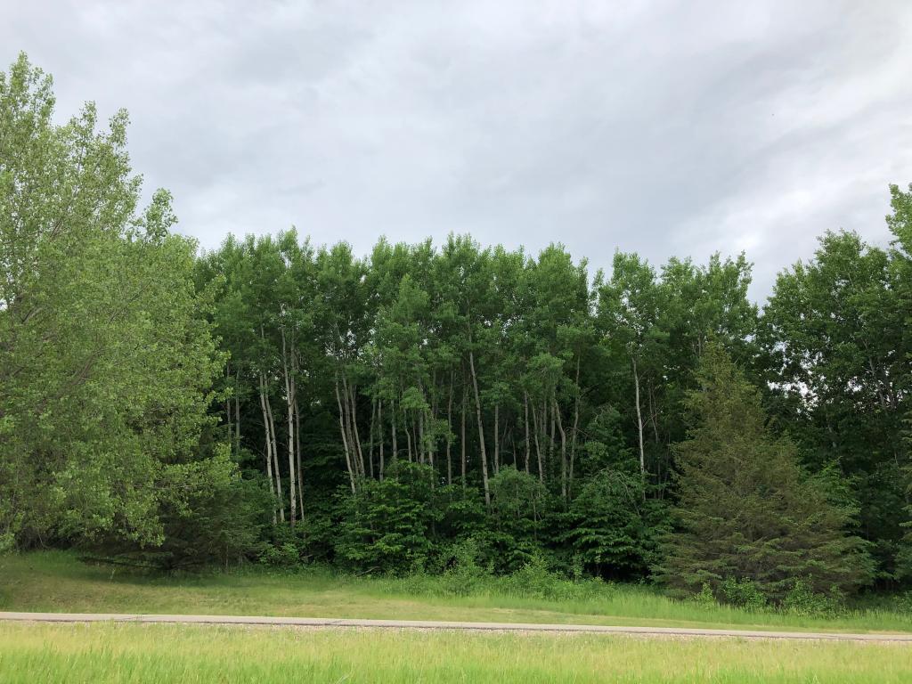 Homes for sale in Paynesville, MN | 27945 Timber Lane Rd, Paynesville, MN 56362 | MLS# 7068639