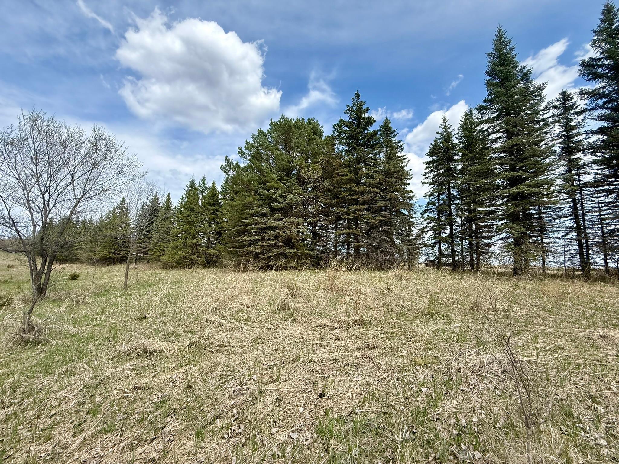Homes for sale in Glenwood, MN | 16025 245th Ave, Glenwood, MN 56334 | MLS# 7068719