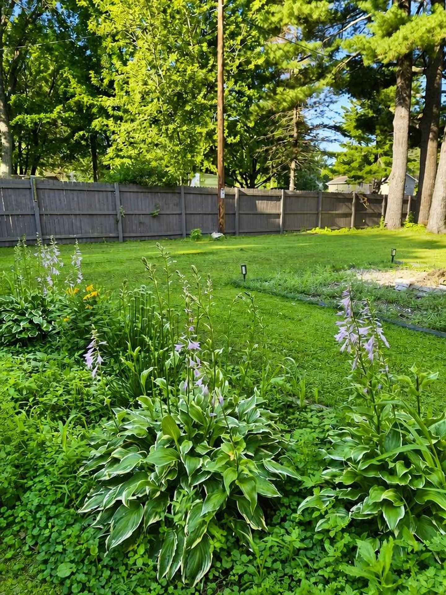 5th image of 502 Birchwood Ave, Amery, WI 54001 | MLS# 7069375