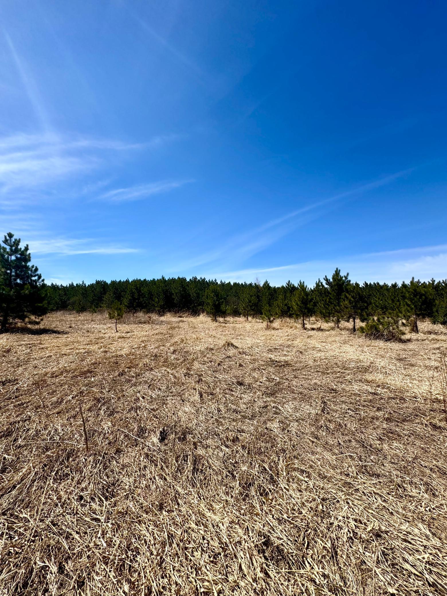 Homes for sale in Bovey, MN | Tbd Scenic Hwy 7, Bovey, MN 55709 | MLS# 7069399