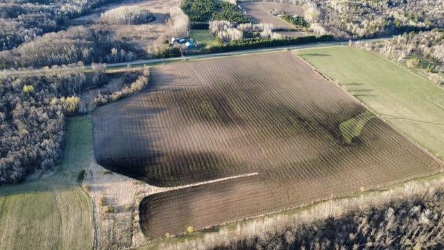 Homes for sale in Cushing, MN | Tbd 270th Street, Cushing, MN 56443 | MLS# 7069664