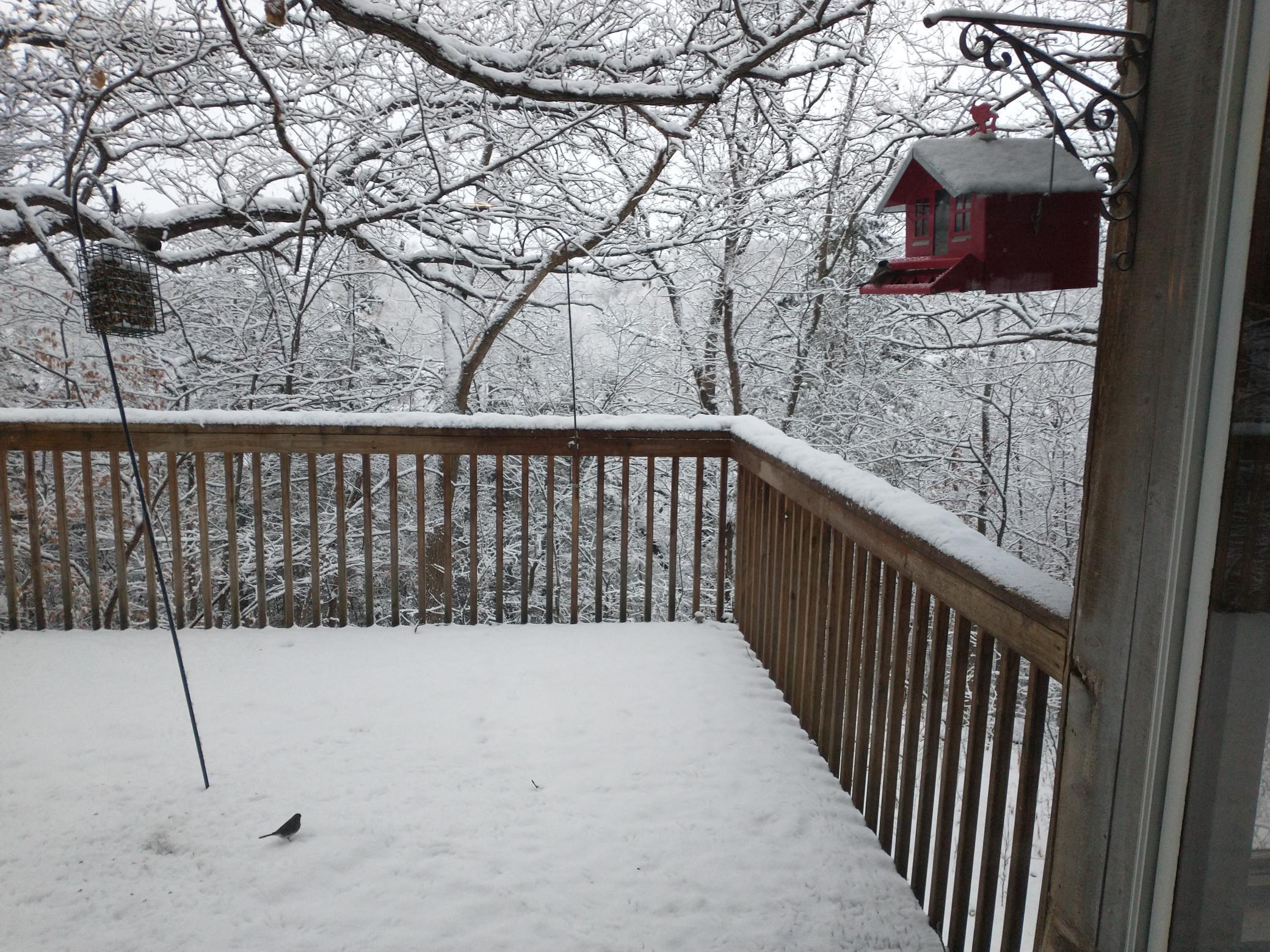 59th image of 16220 Hayes Ave, Carver, MN 55315 | MLS# 7069734