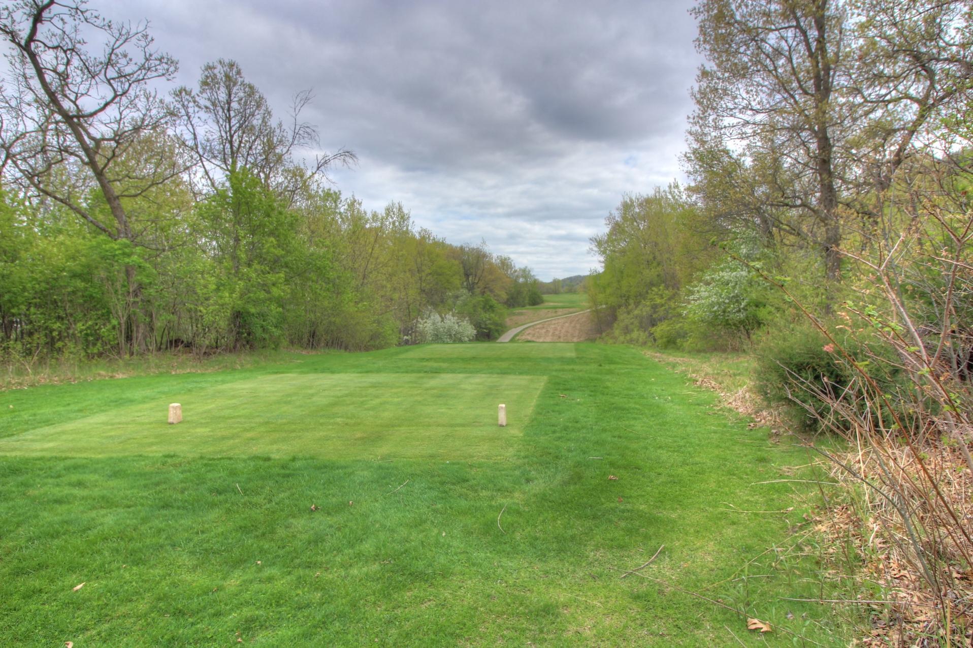 Homes for sale in Lake City, MN | 301 Grand Dr, Lake City, MN 55041 | MLS# 7070110