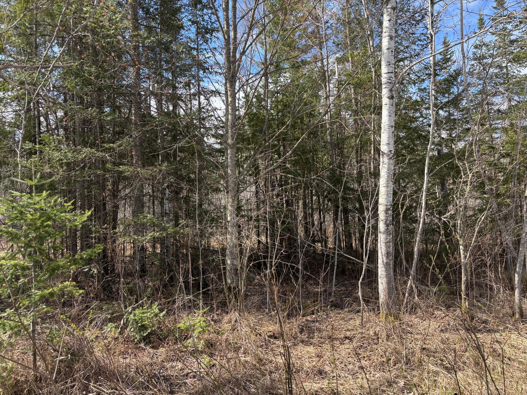 Homes for sale in Cromwell, MN | 5358 E Four Corners Rd, Cromwell, MN 55726 | MLS# 7070275