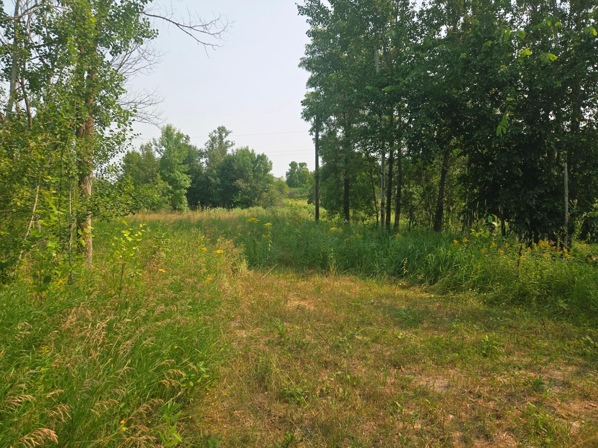 1st image of 183xx 302nd Ave, Detroit Lakes, MN 56501 | MLS# 7070656