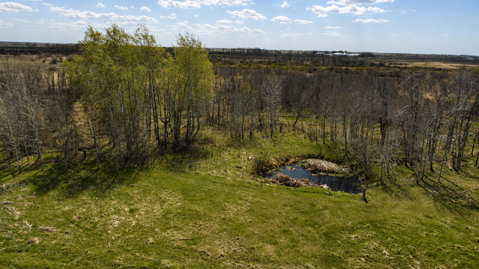 1st image of 32524 490th Ave, Ottertail, MN 56571 | MLS# 7070956