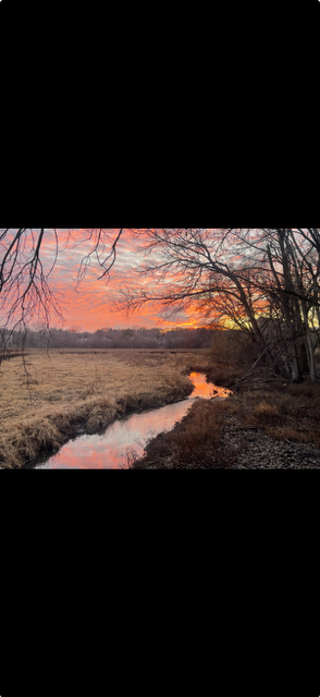 2nd image of 6075 Lincoln Dr, Minneapolis, MN 55436