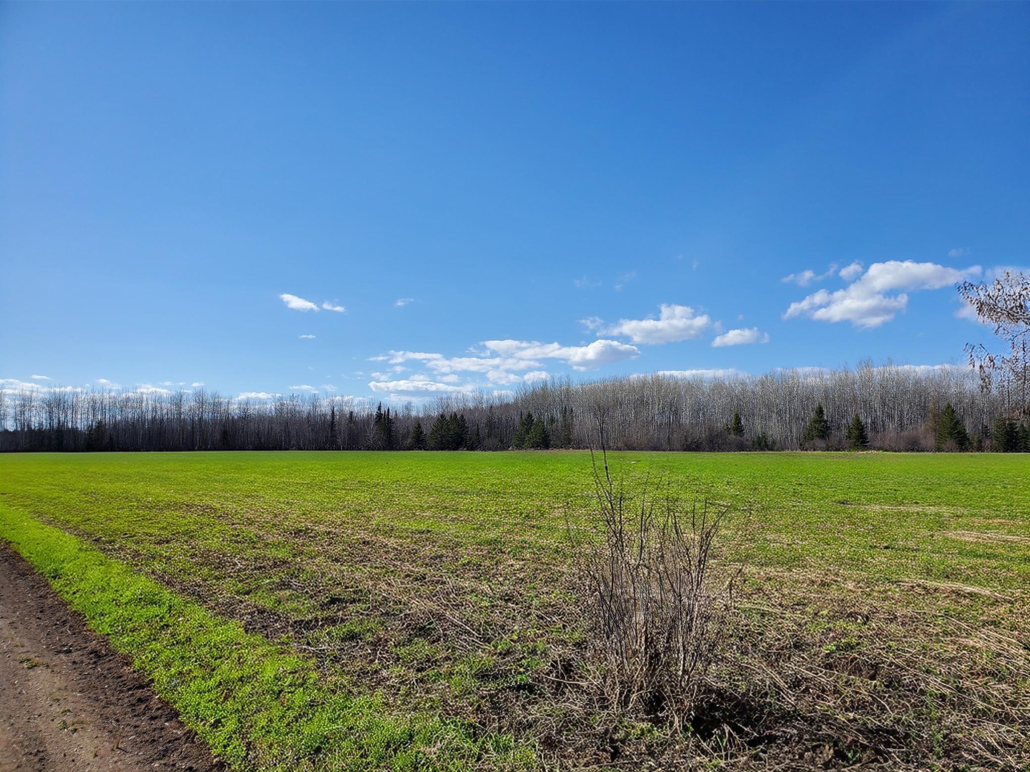 2nd image of Tbd Wildflower Lane Ne, Blackduck, MN 56630 | MLS# 7071034