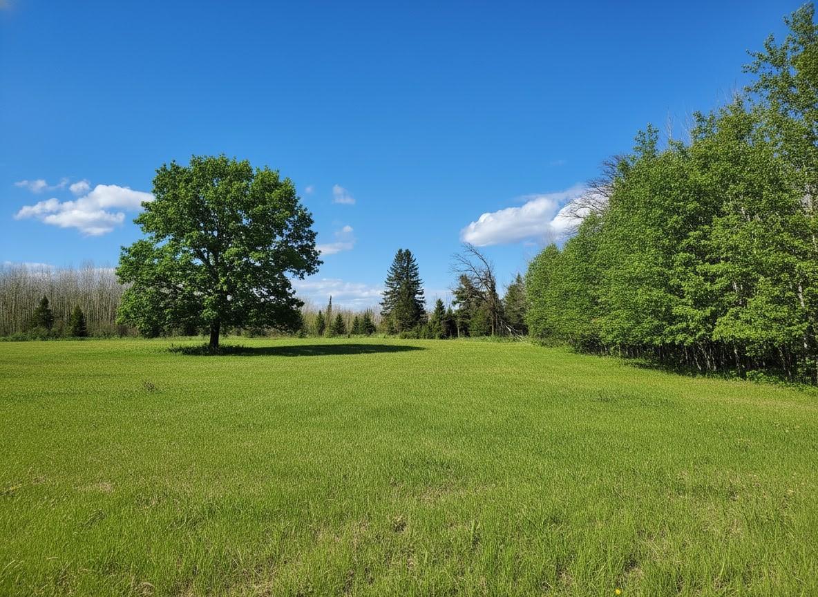 1st image of Tbd Wildflower Lane Ne, Blackduck, MN 56630 | MLS# 7071034